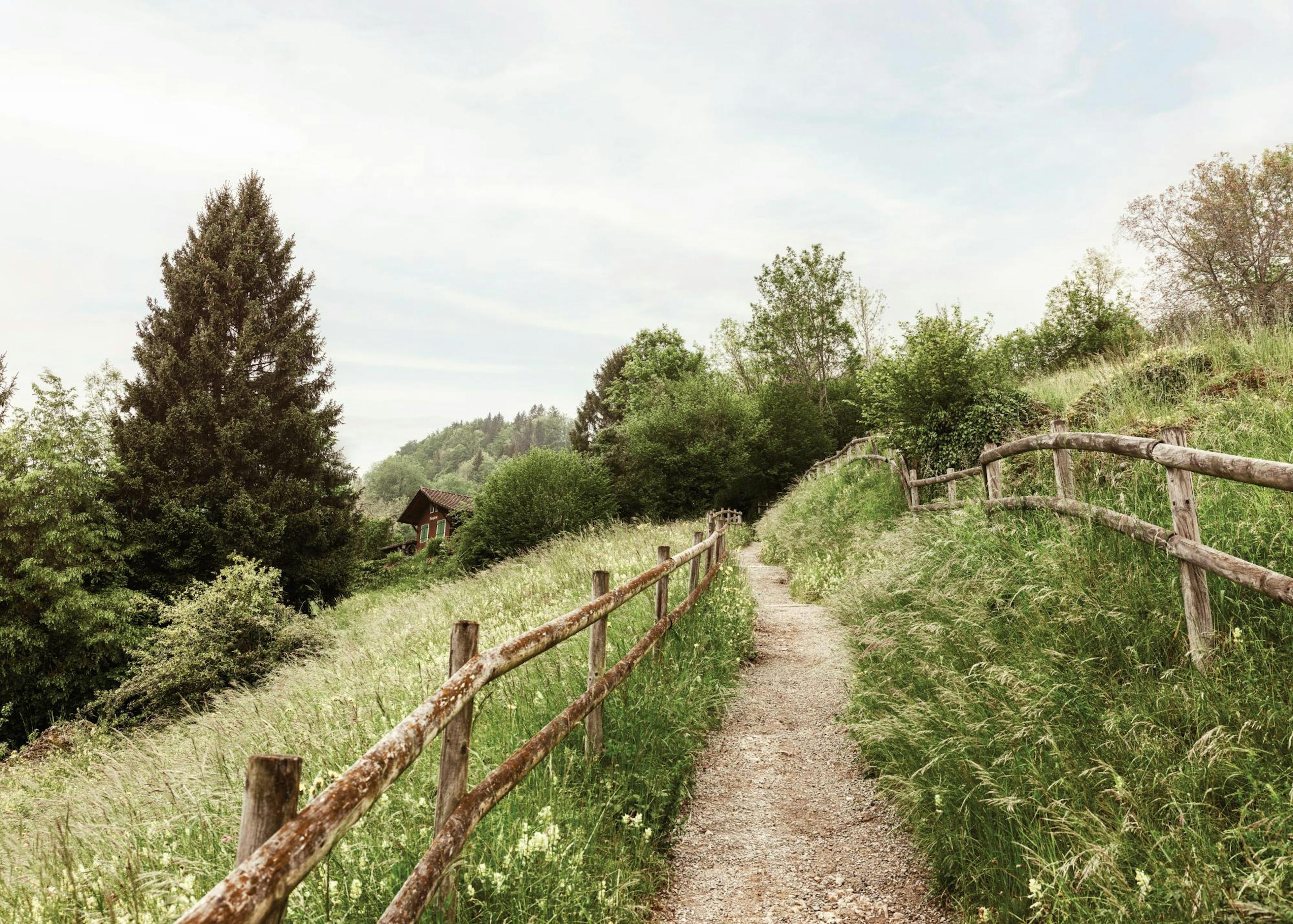 Chemin à travers les Collines Poster 0