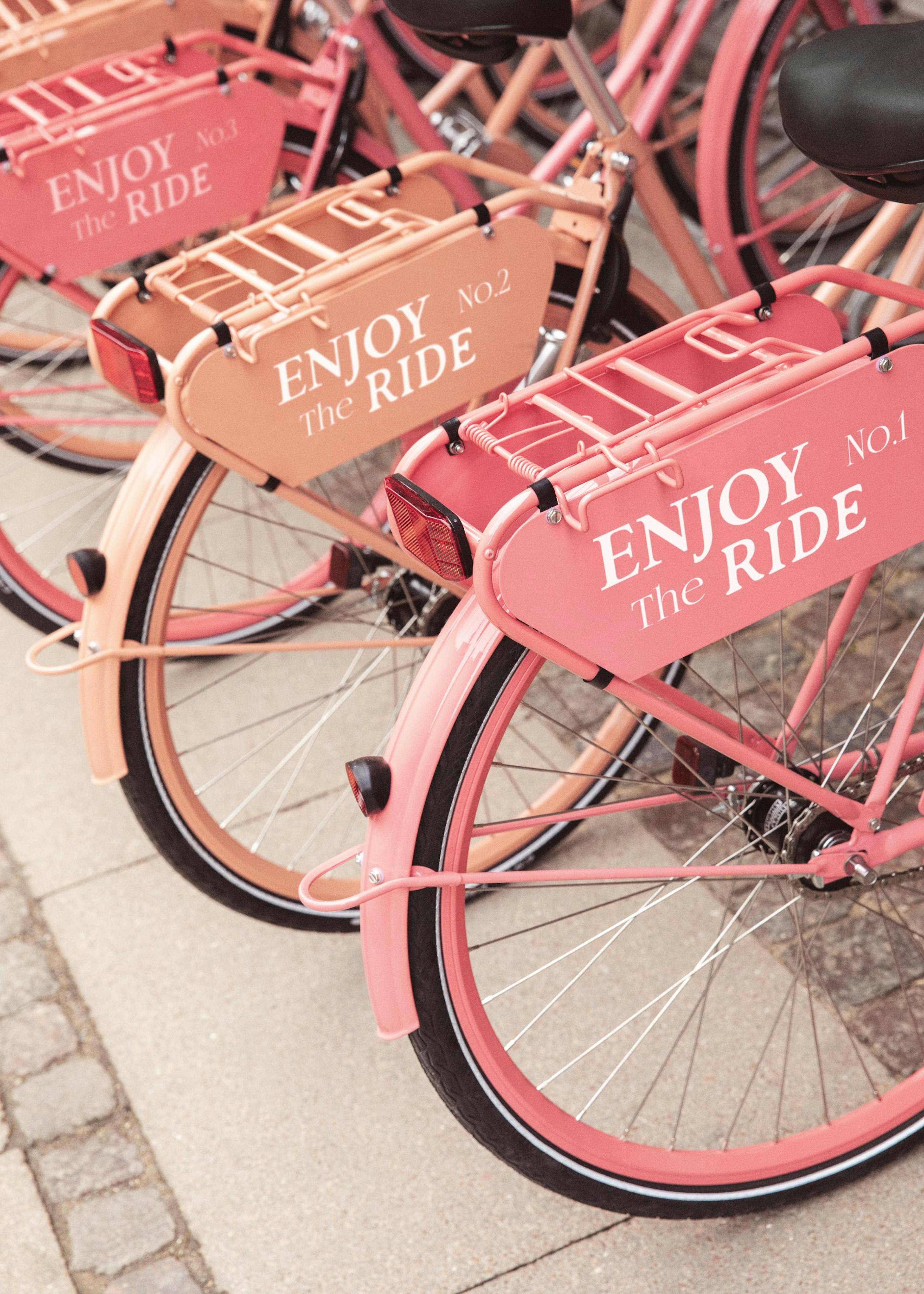 Pink City Bikes Poster 0