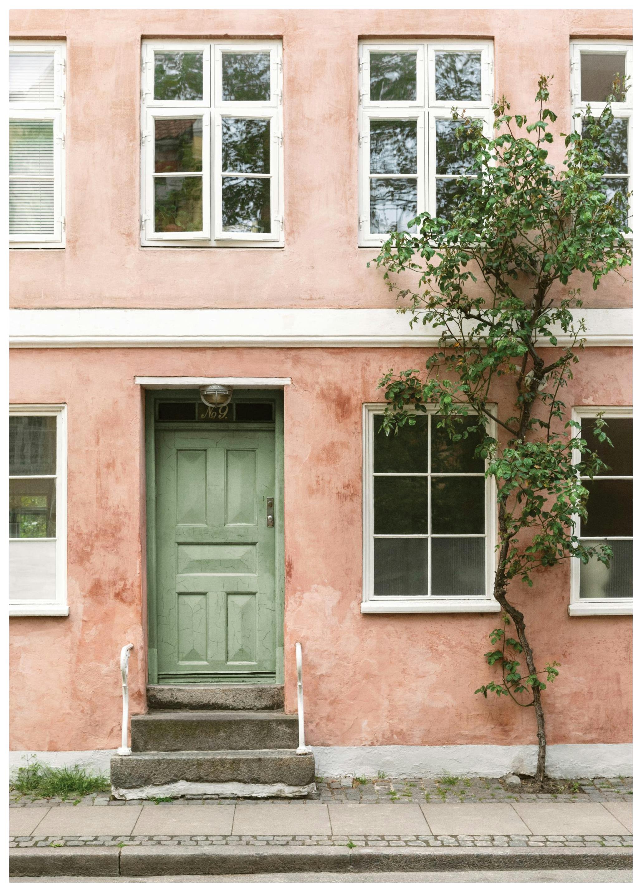 Murs Rosés Poster (30x40 cm) - Poster Store