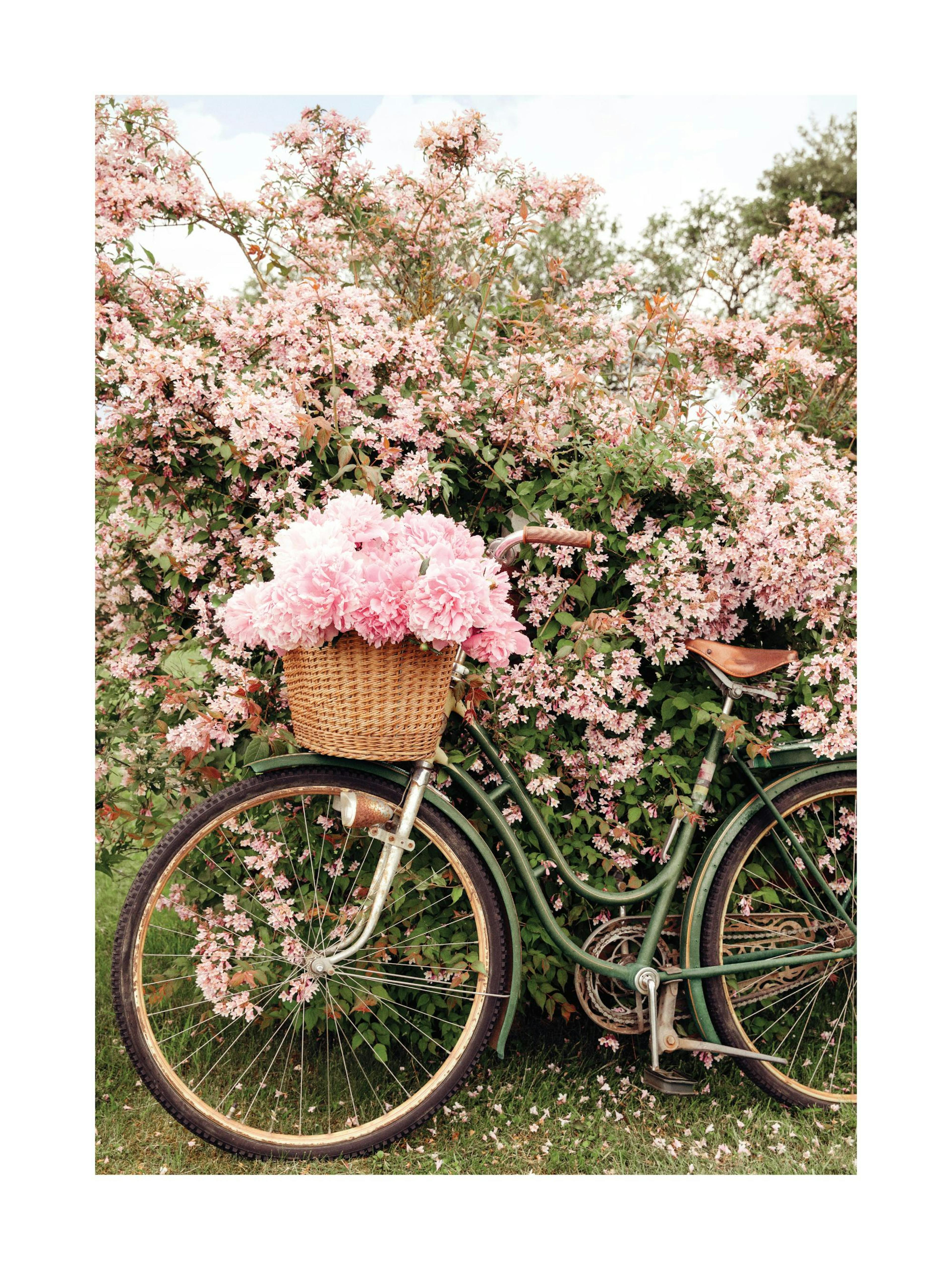 Vélo en Fleurs Poster 0