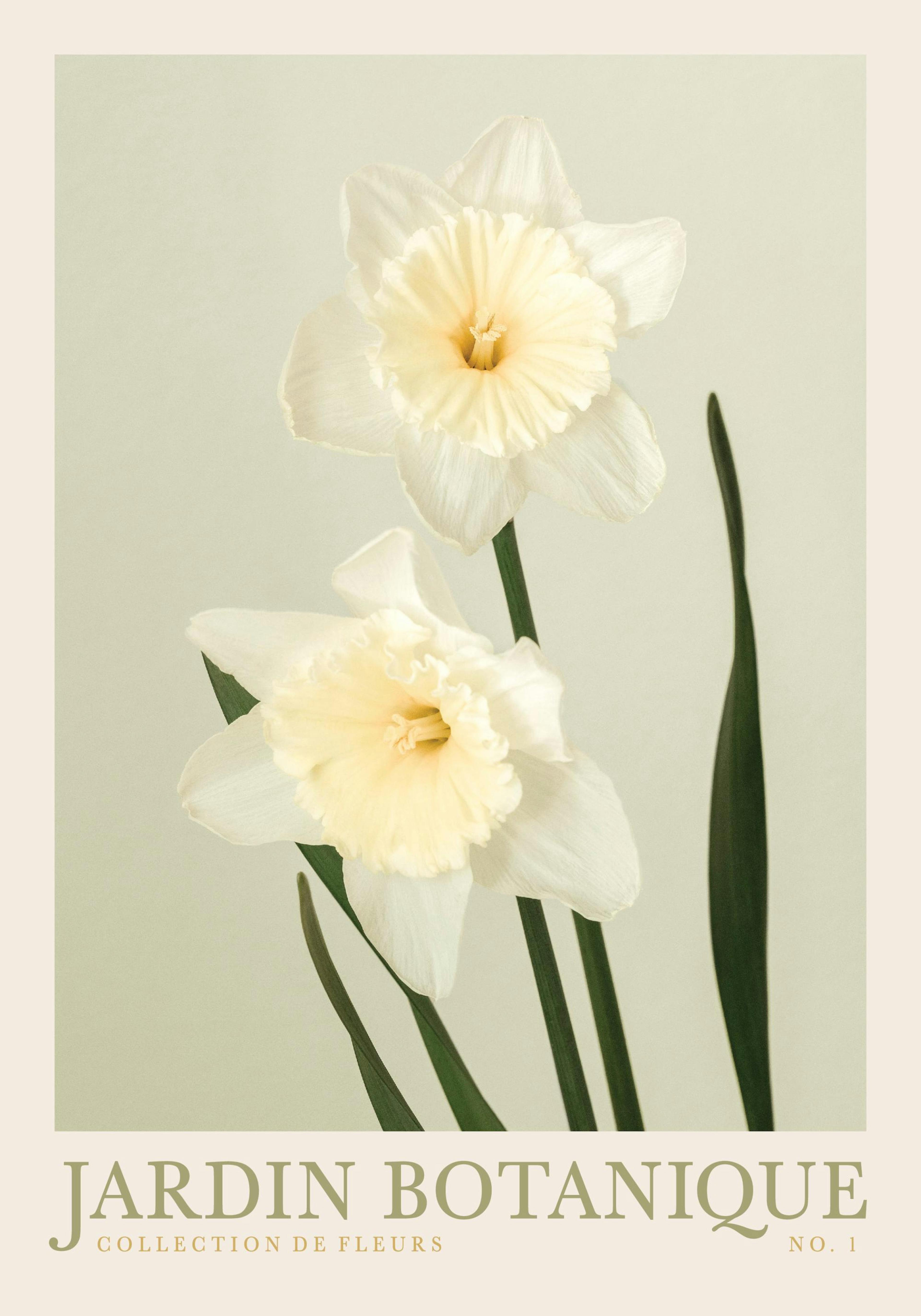 Jardin Botanique No1 Poster thumbnail