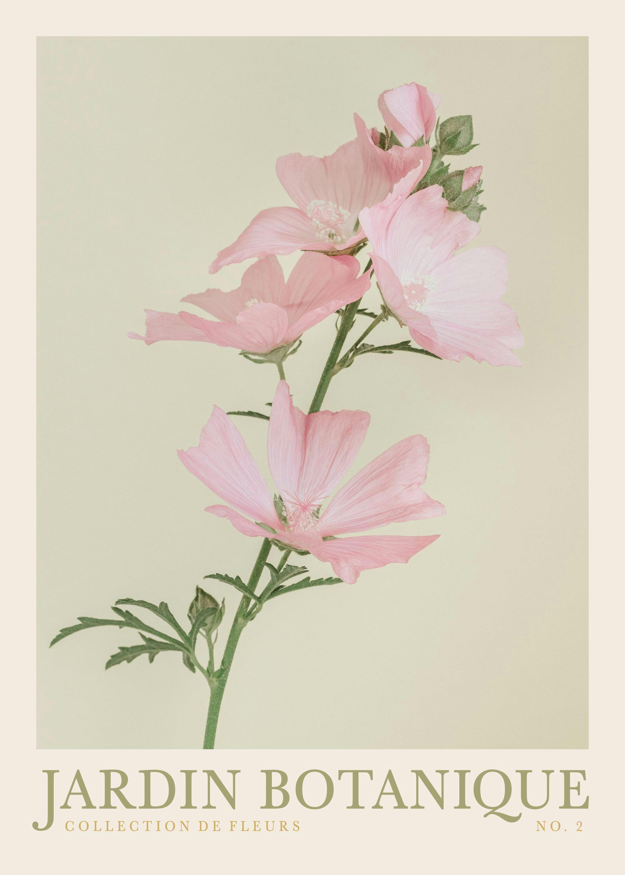 Jardin Botanique No2 Poster 0