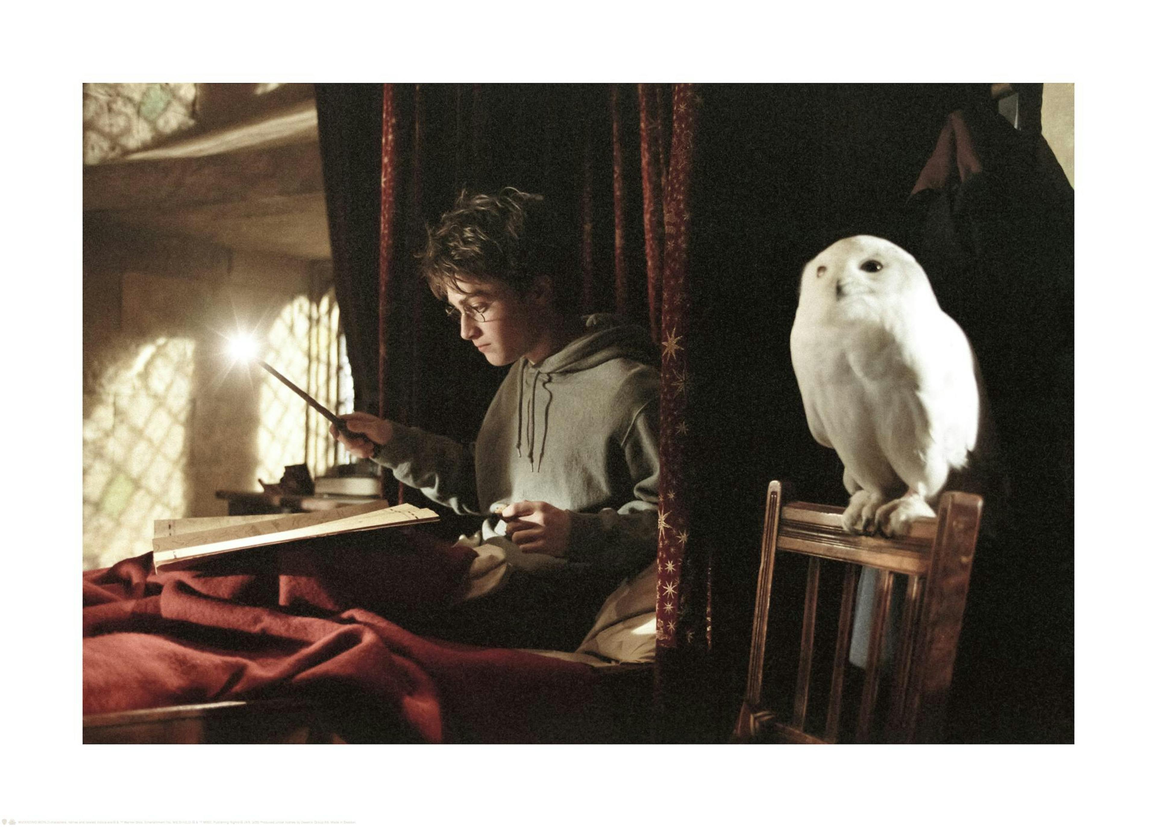 Harry Potter™ - Wizardry with Hedwig Plakát 0