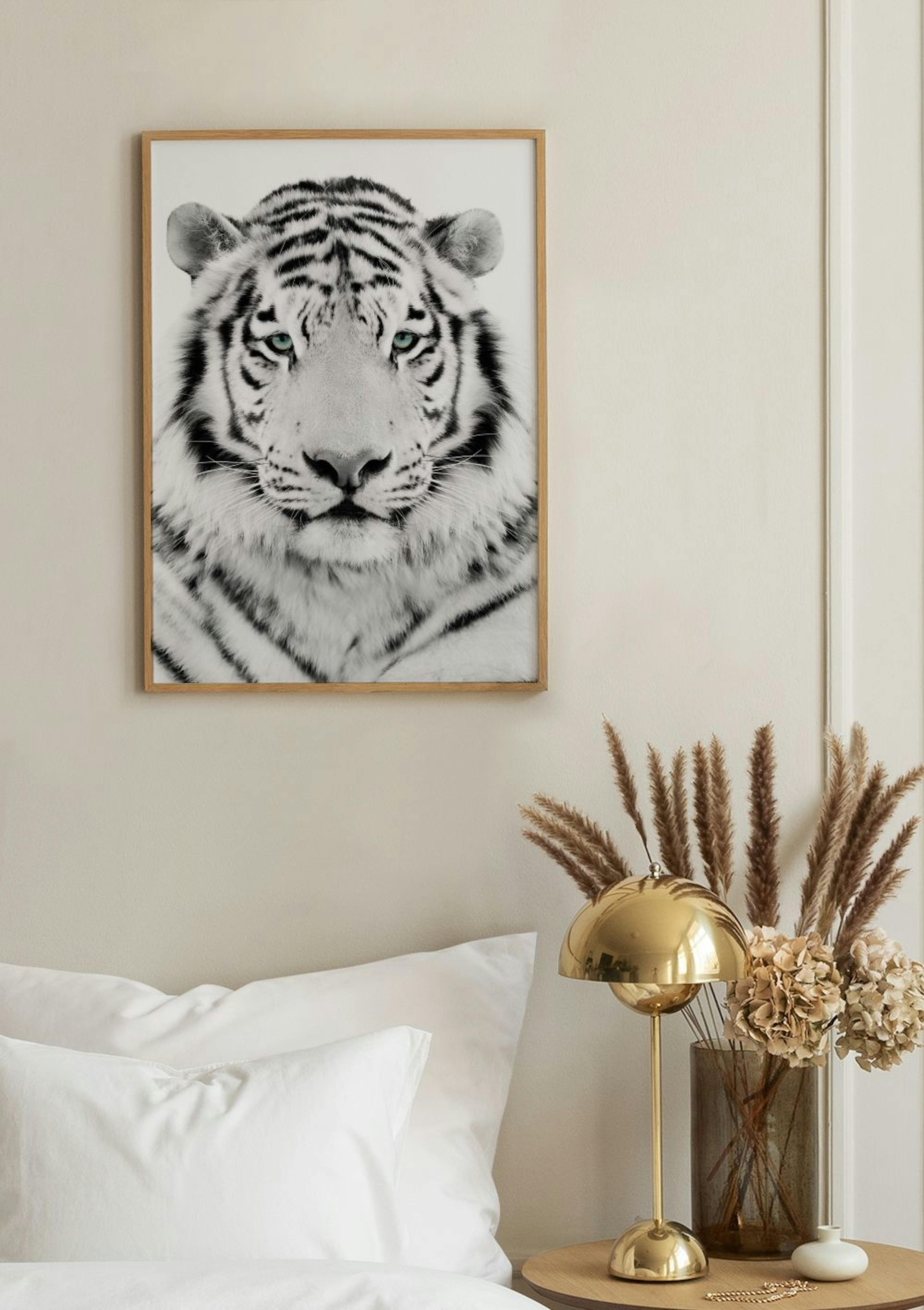 Tigre Blanco Póster thumbnail