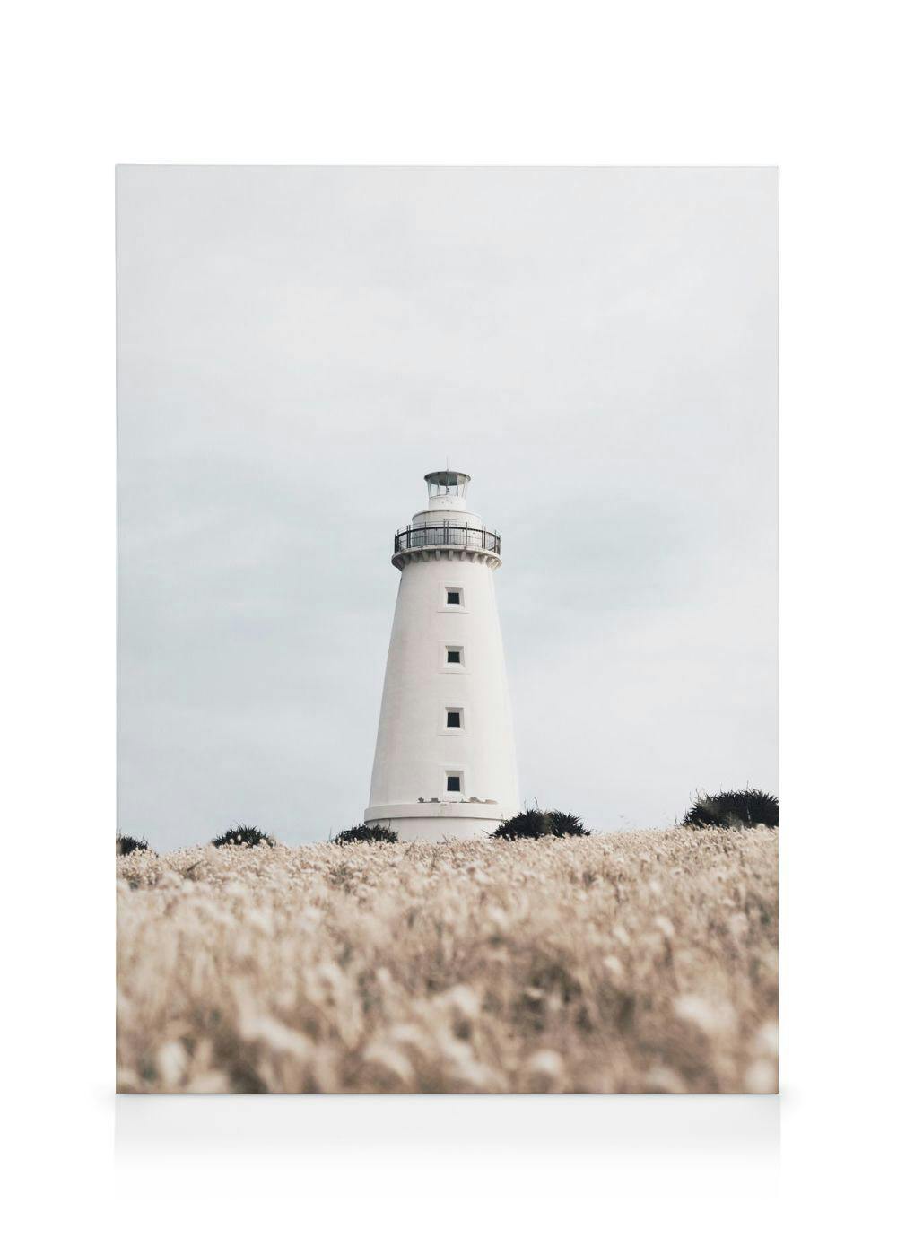 Canvas Prints - Lighthouse on Field Canvas print (50x70 cm - Oak Frame) - Poster Store