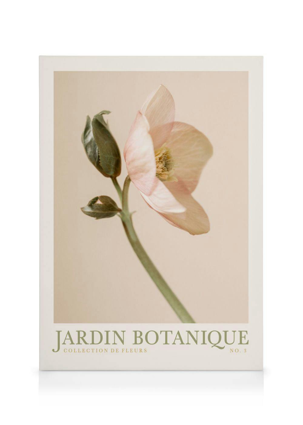 Jardin Botanique No3 Obraz na płótnie (50x70 cm - Czarna ramka) - Poster Store