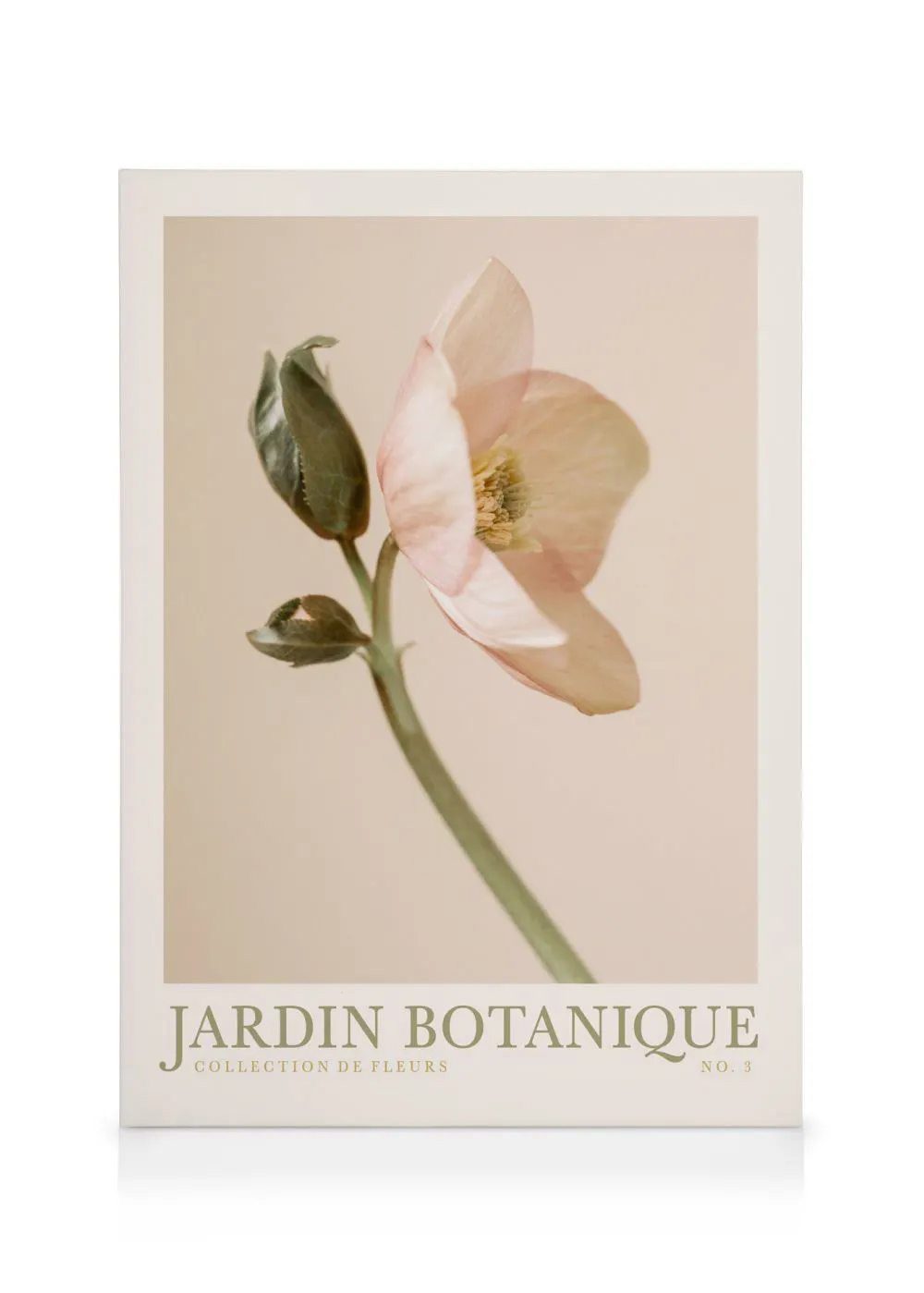 A canvas print featuring a delicate light pink flower with a green stem and leaves against a muted beige background. Text reads