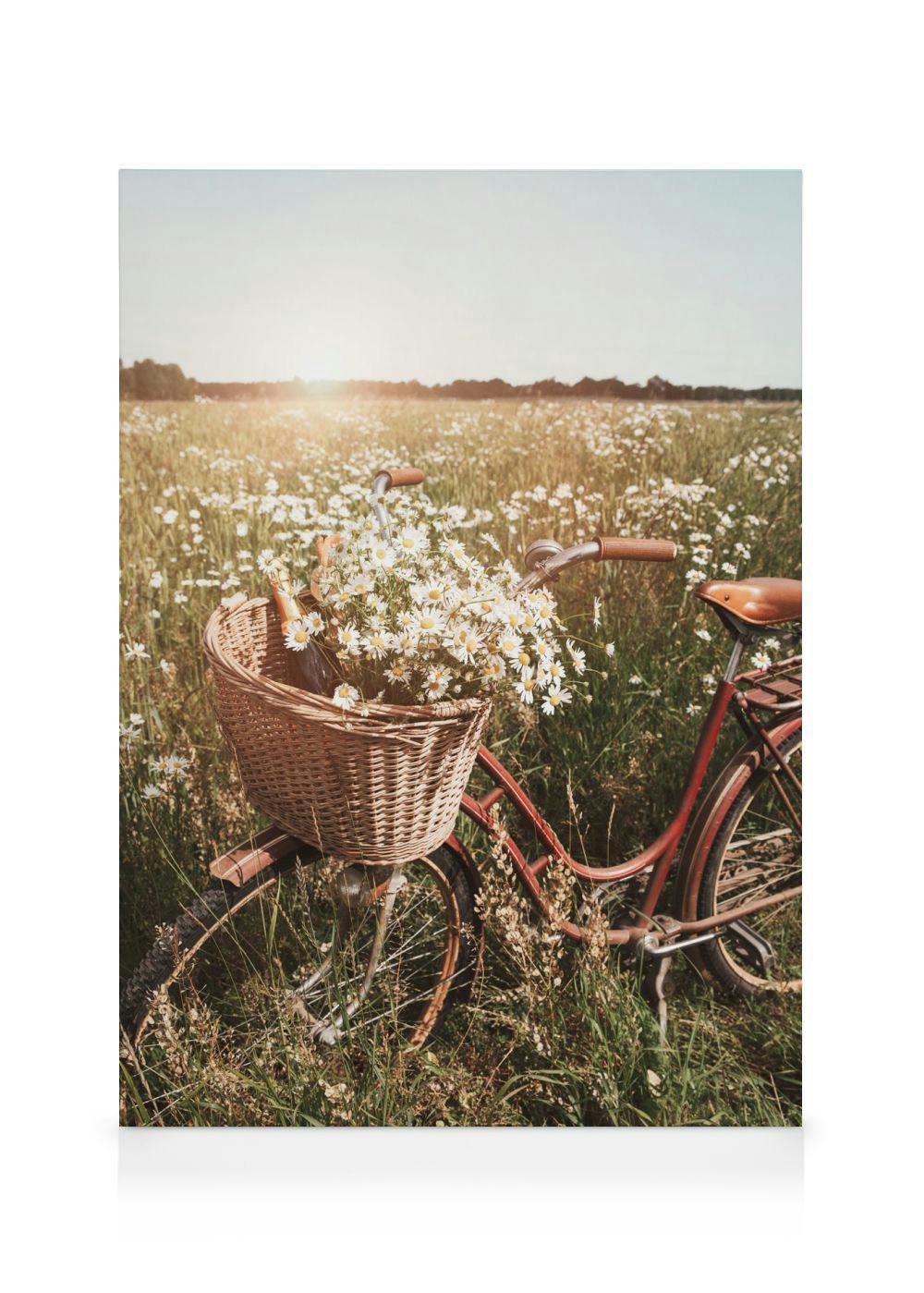 Obraz na płótnie przedstawiający rower z wiklinowym koszykiem pełnym stokrotek, stojący na łące.