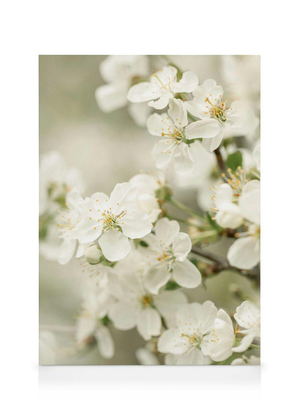 Voorjaarsbloesems Canvas (30x40 cm - Fotolijst Eiken) - Poster Store