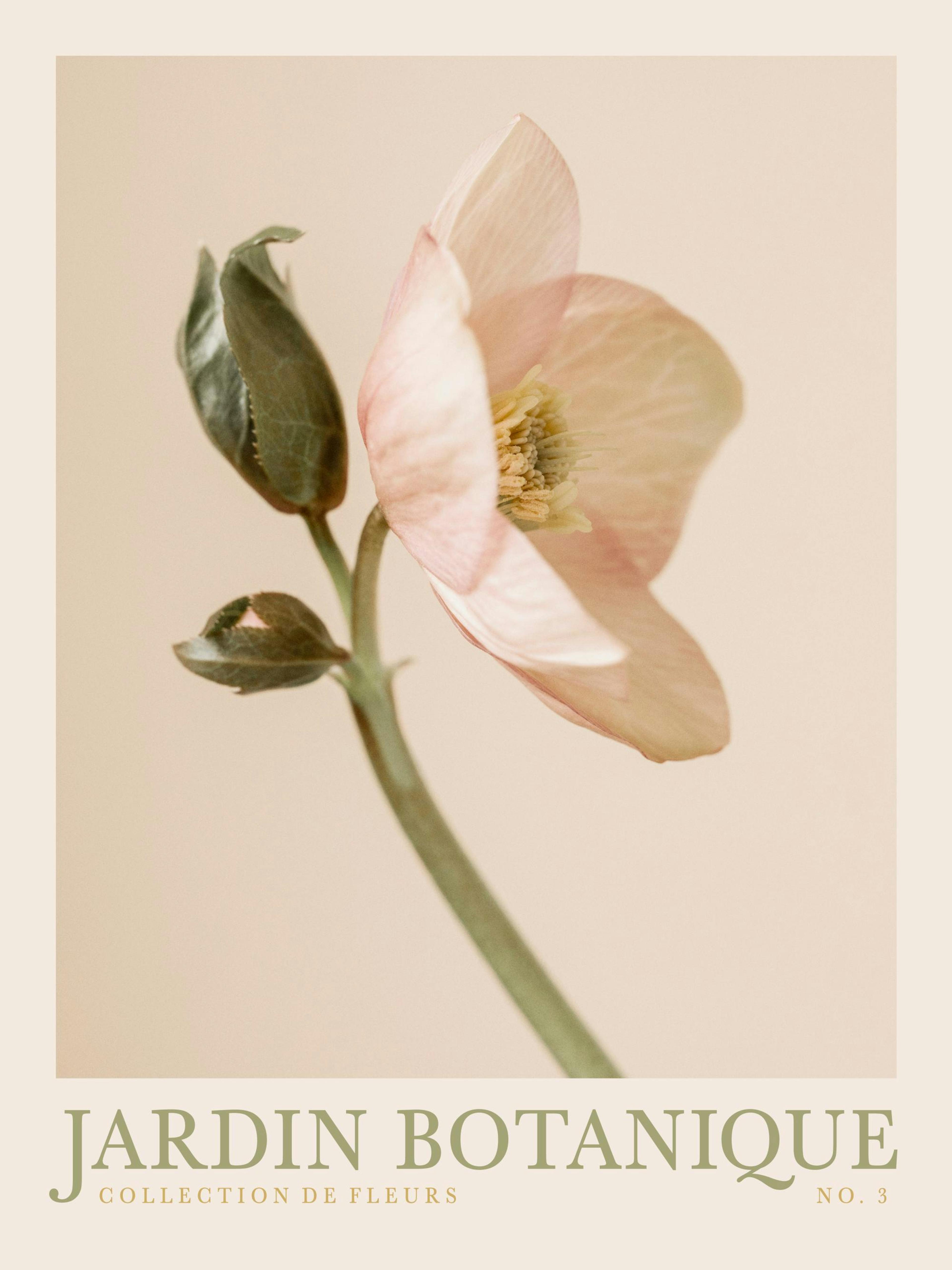 Jardin Botanique No3 Poster thumbnail