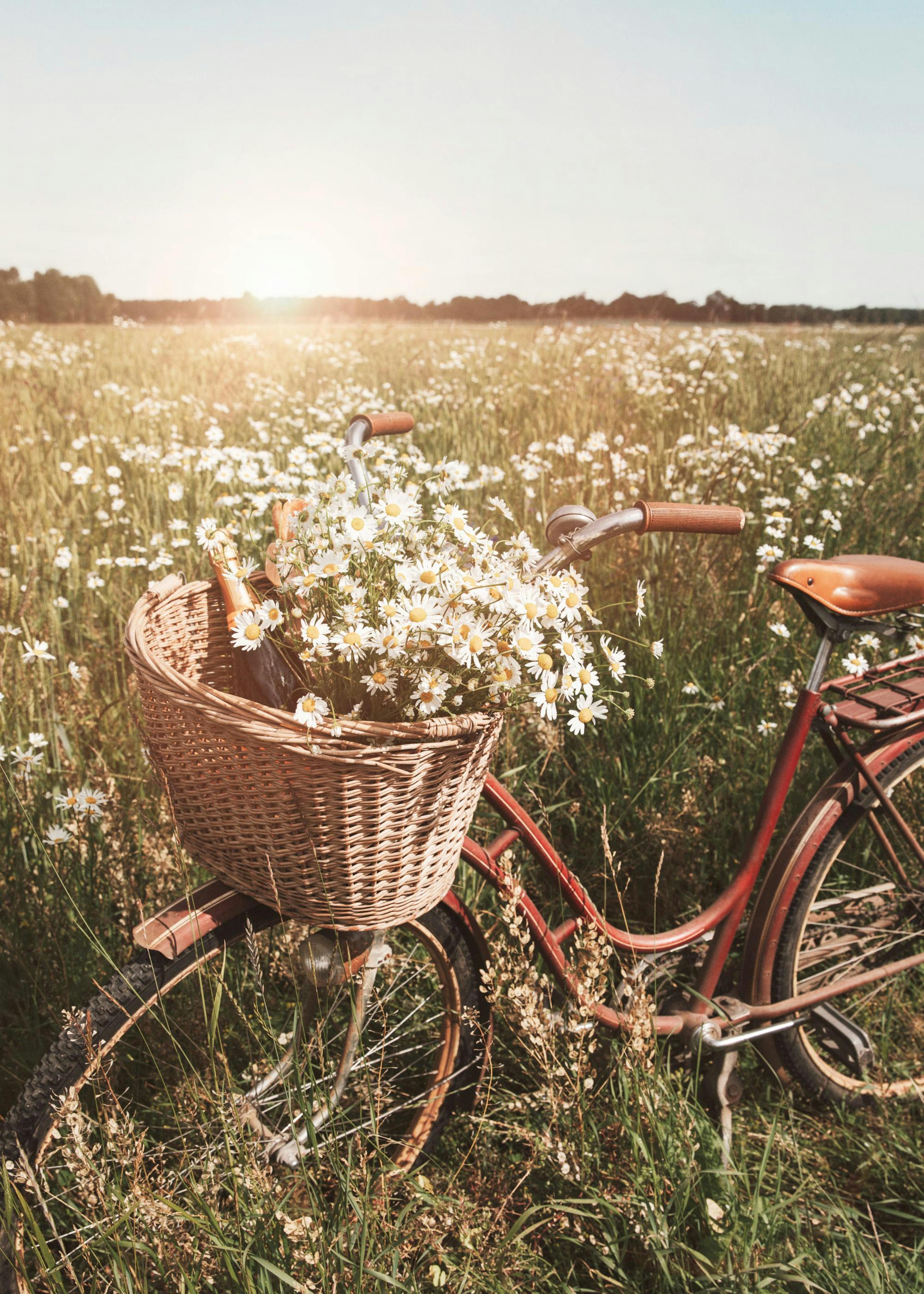 Fietsgenot Poster 0