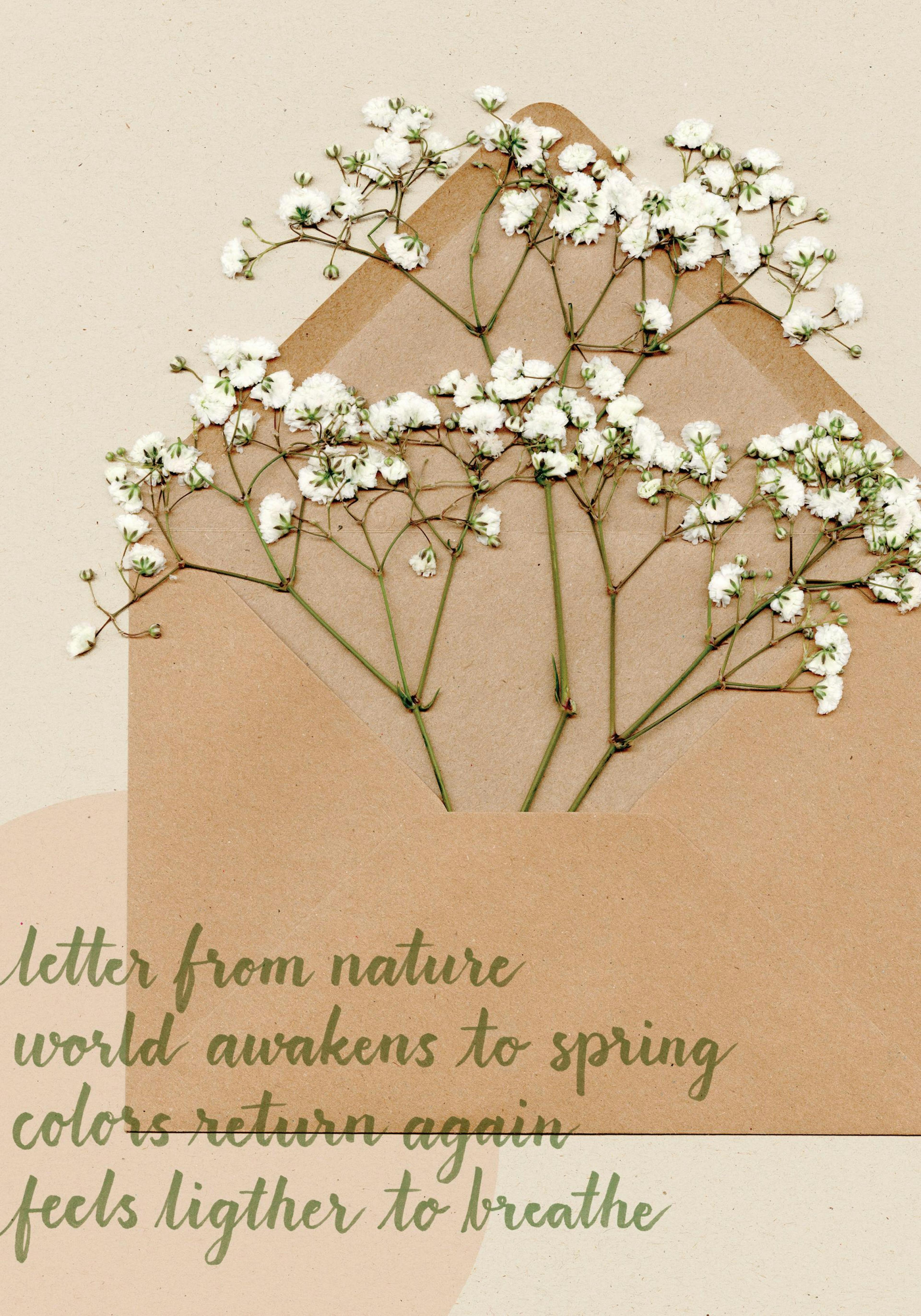 Lettre en Fleurs Poster thumbnail
