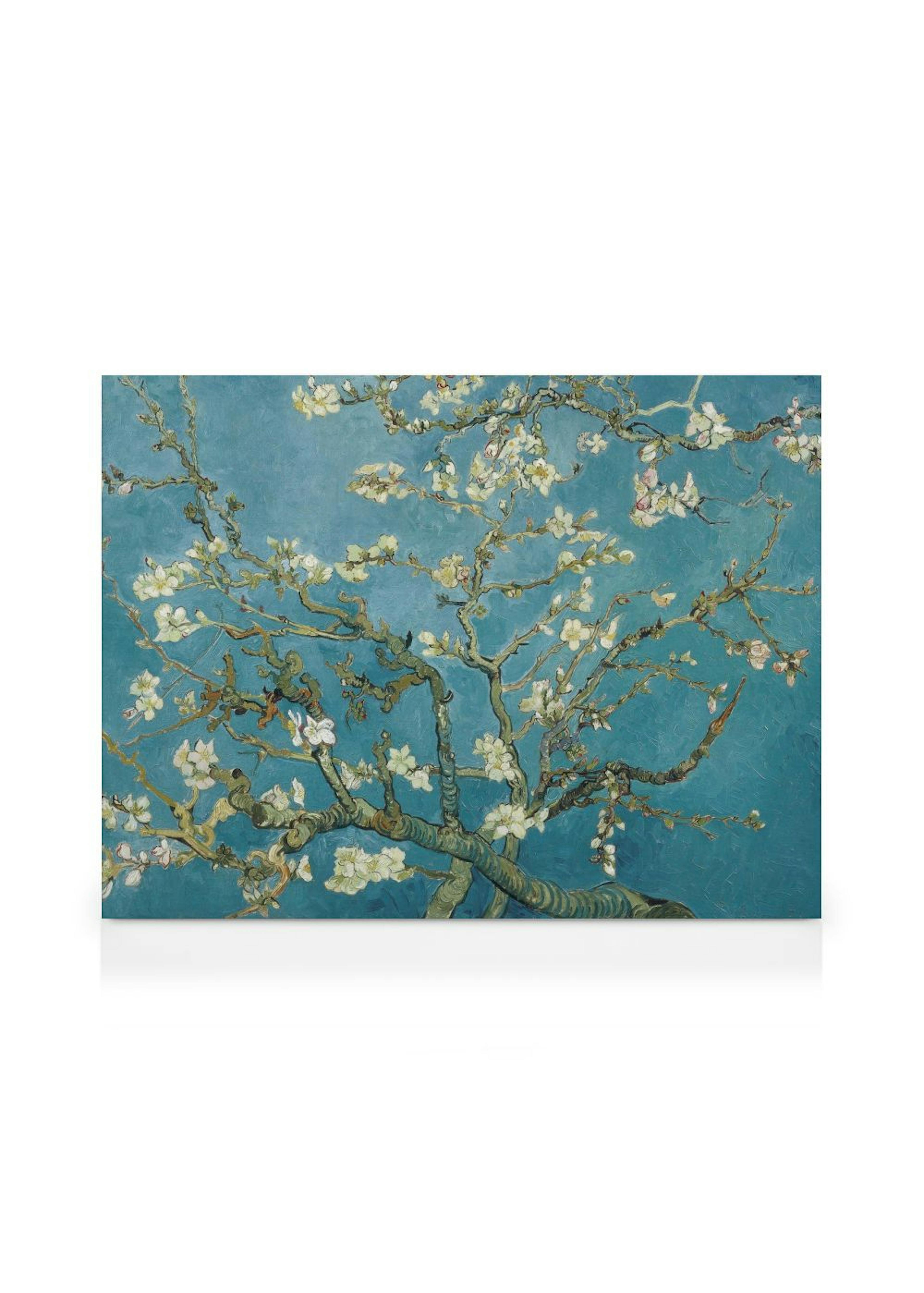 Product image: 1