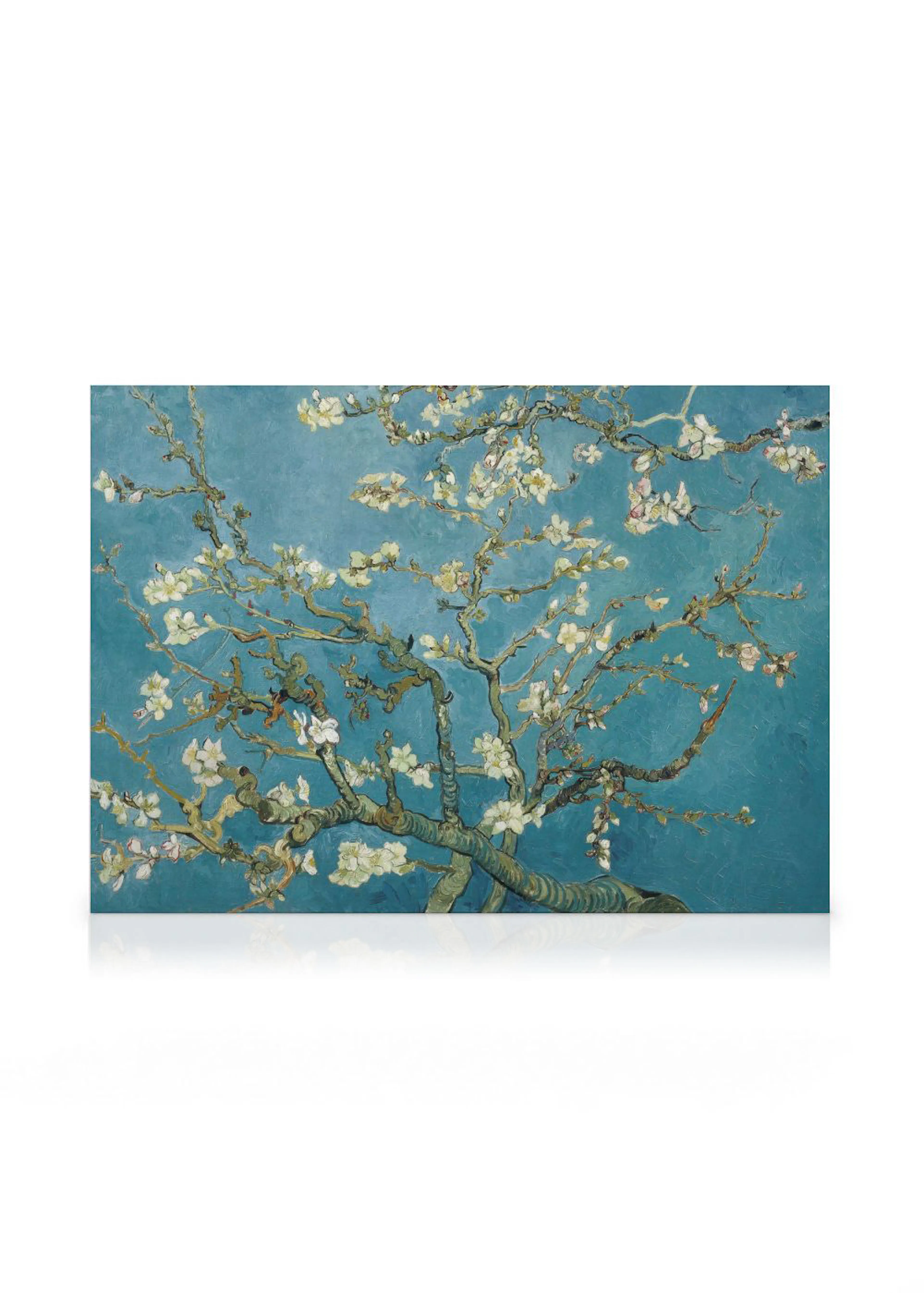 Stampa su tela di mandorlo in fiore con rami contorti e fiori bianchi su cielo turchese, stile Van Gogh.