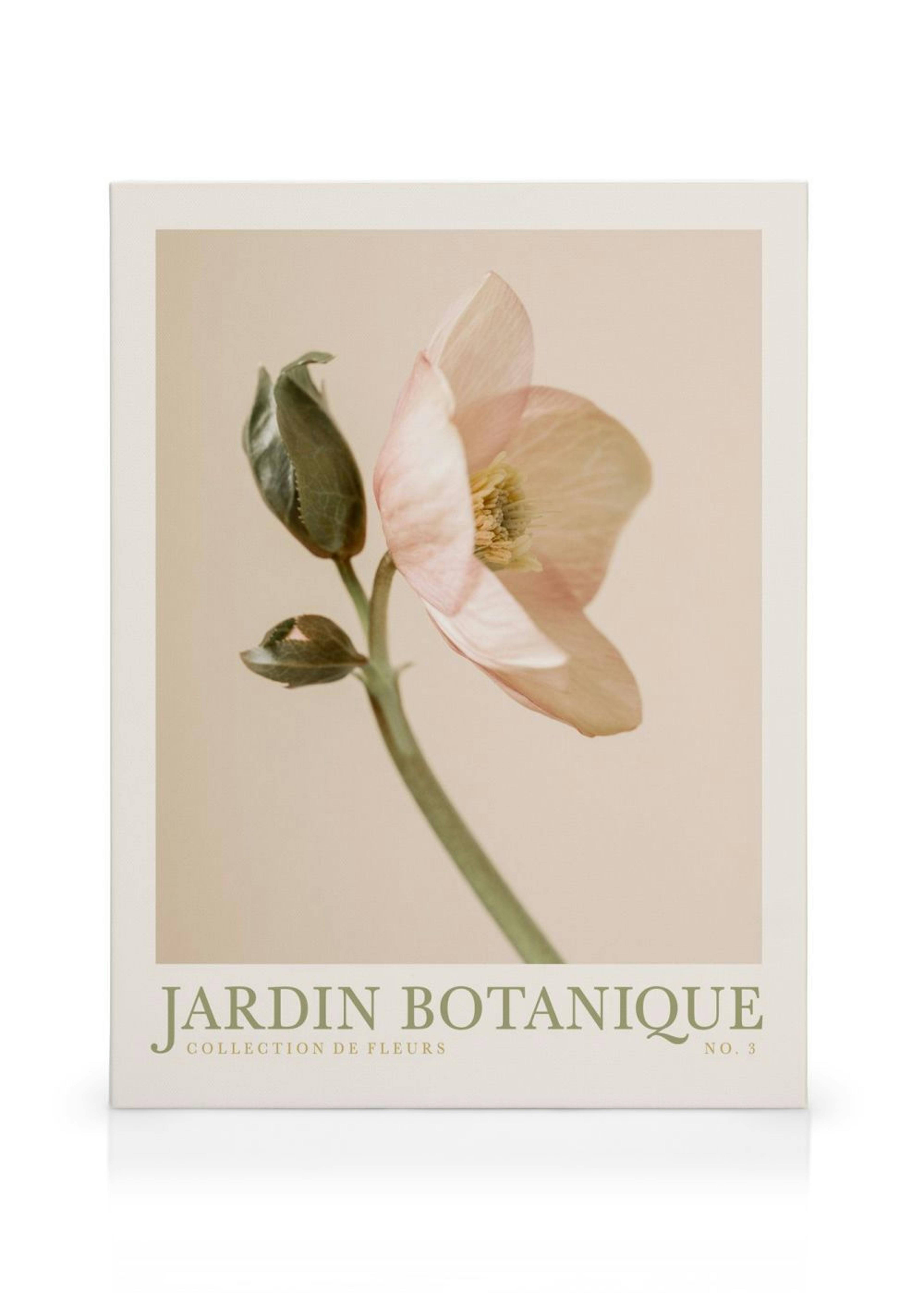 Jardin Botanique No3 Stampa su Tela thumbnail