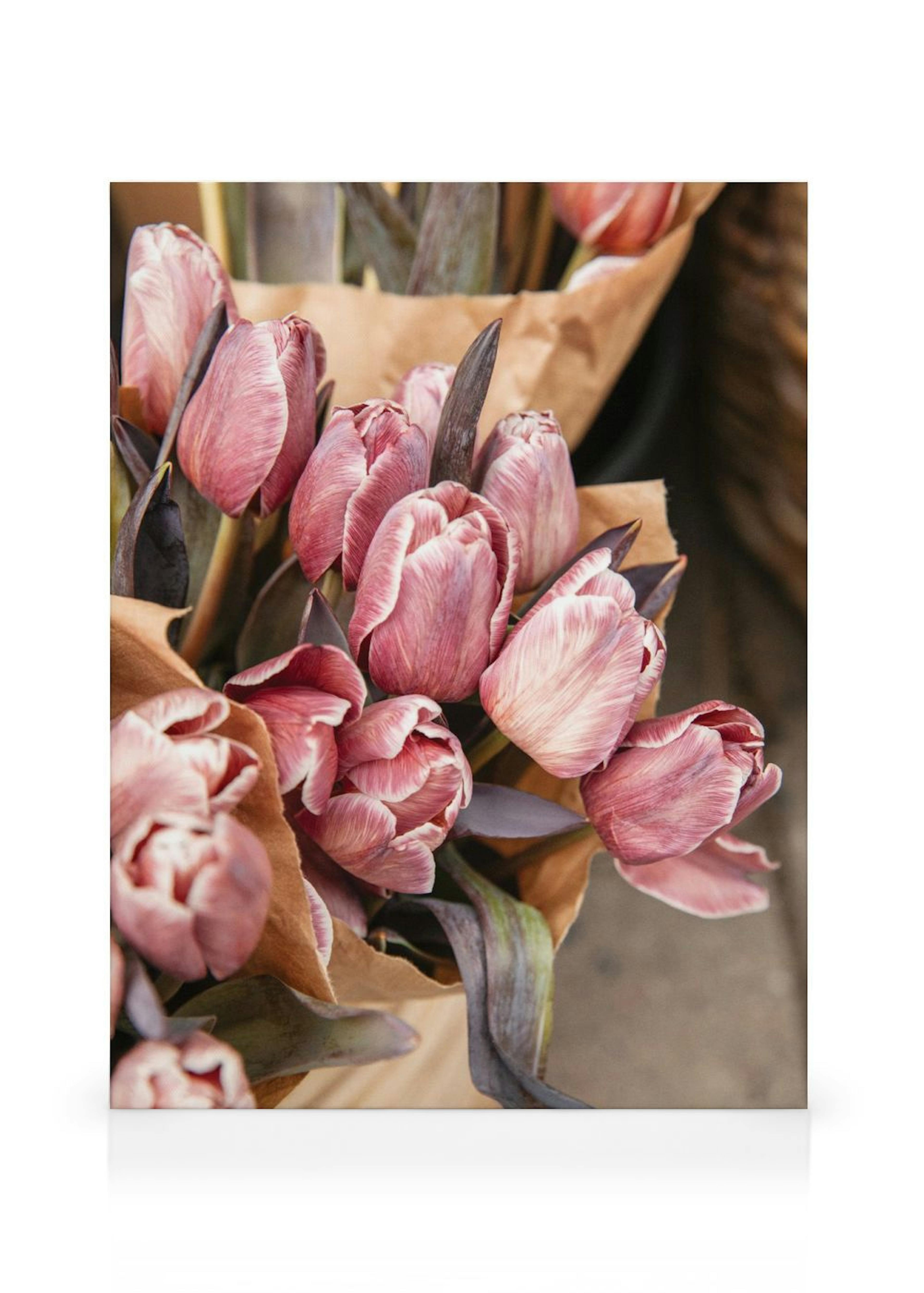 Brownie Tulip Bouquet Lerretsbilde thumbnail