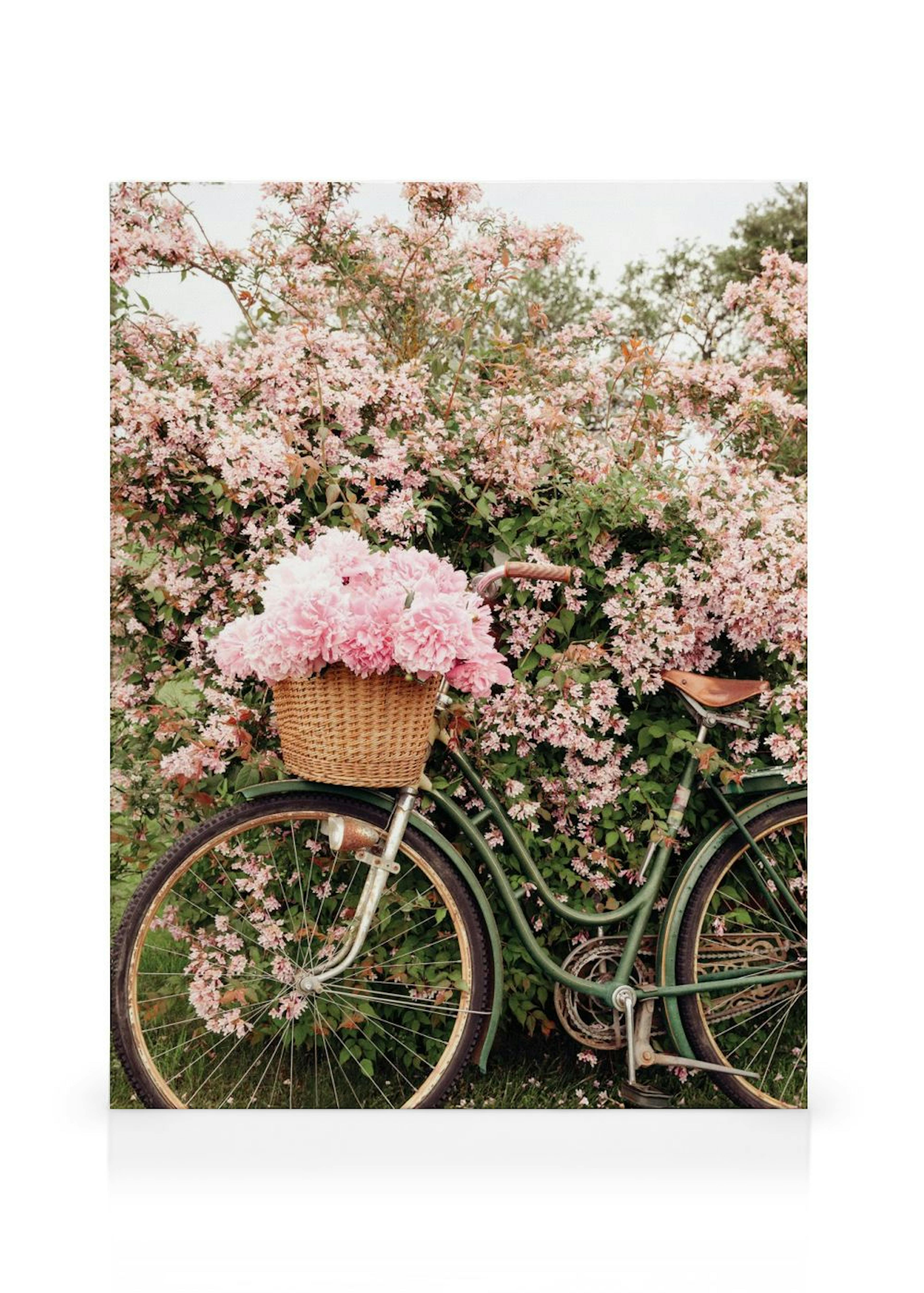 Bike in Blossom Stampa su Tela thumbnail