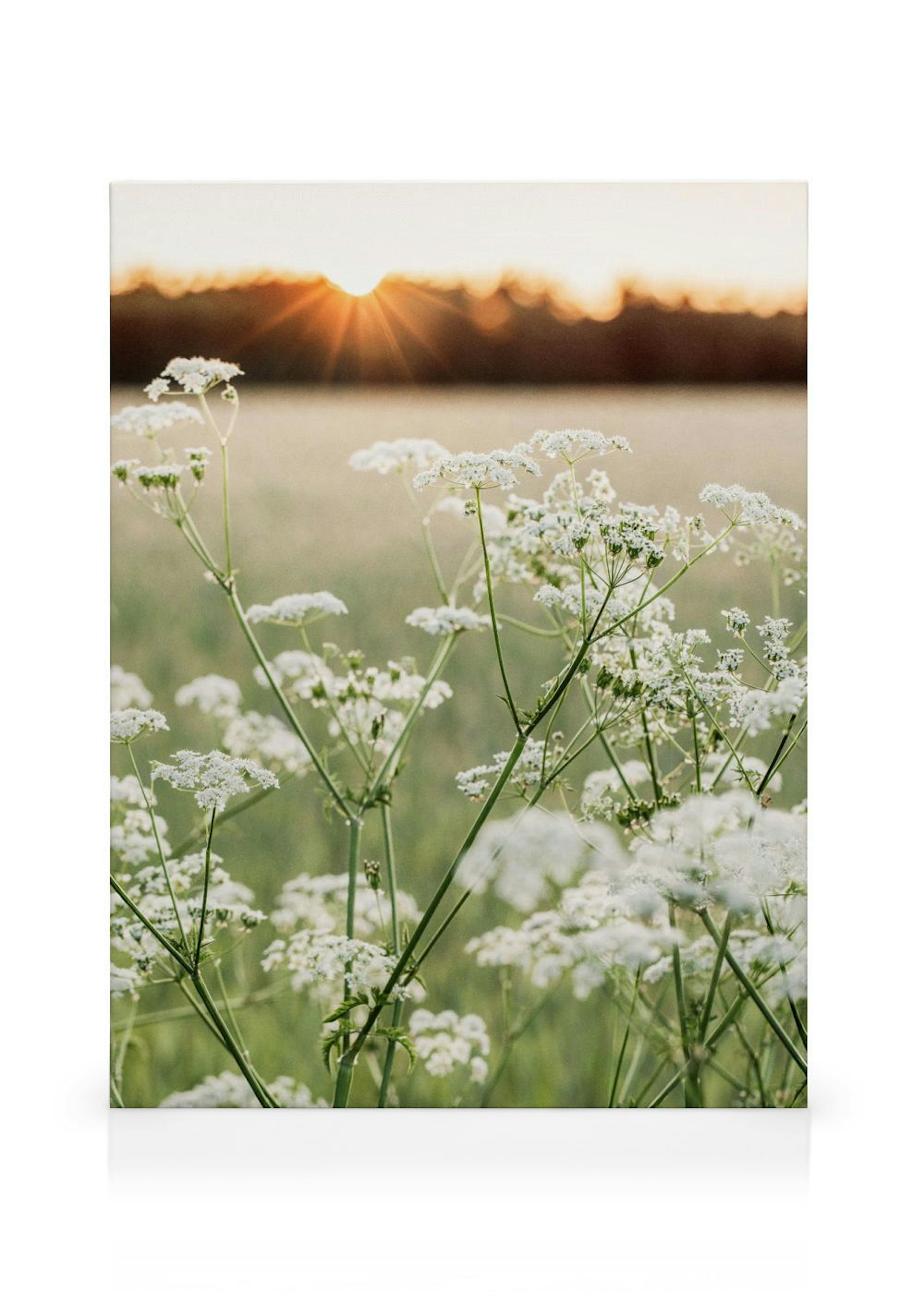 Wildflower Glow Stampe su Tela thumbnail