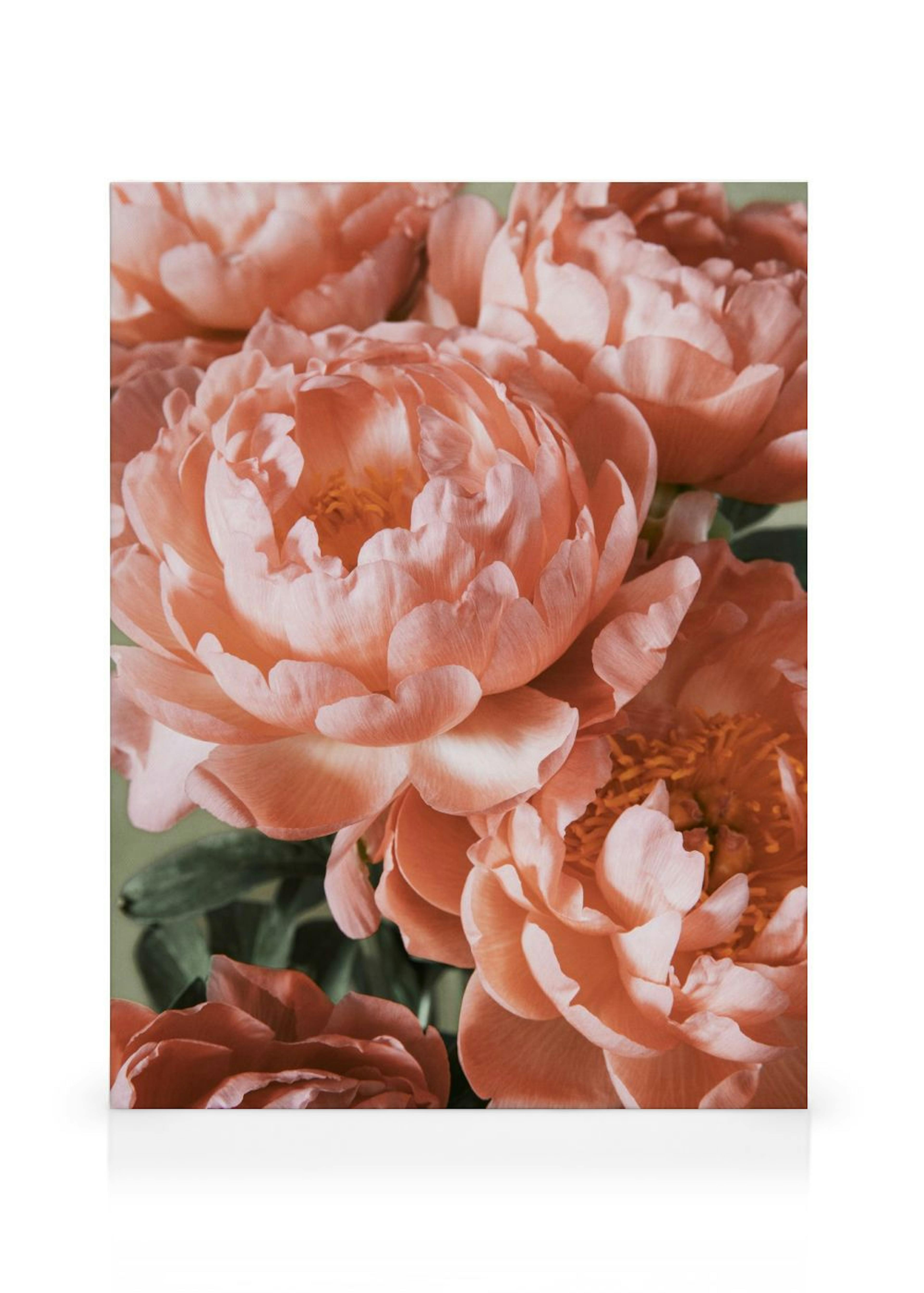 Pink Bouquet Canvas print thumbnail