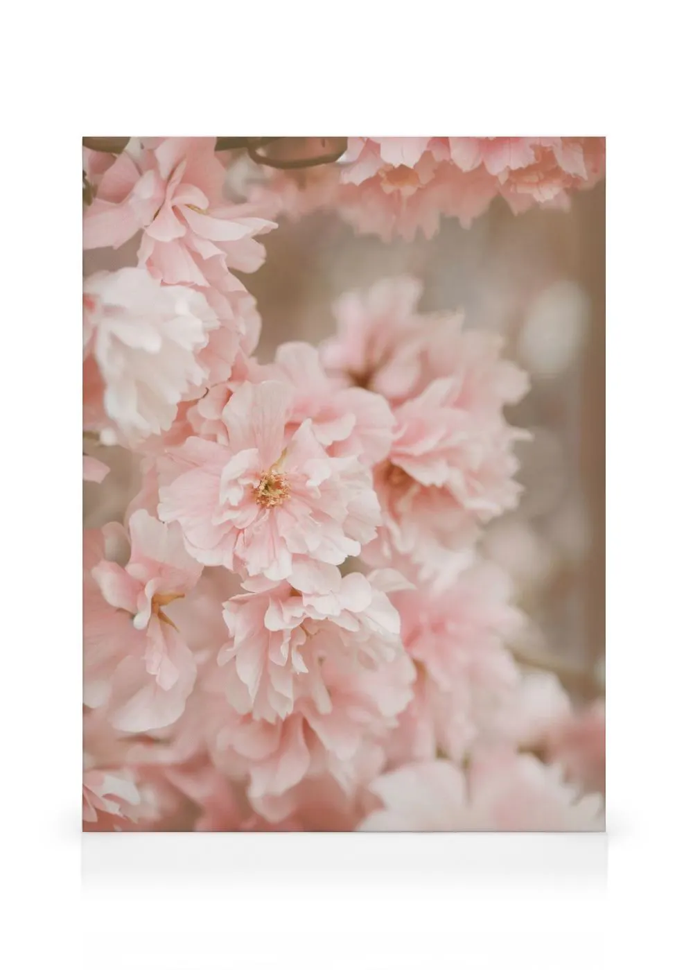 Stampa su tela con primi piani di fiori rosa in fiore, petali delicati e tonalità pastello.