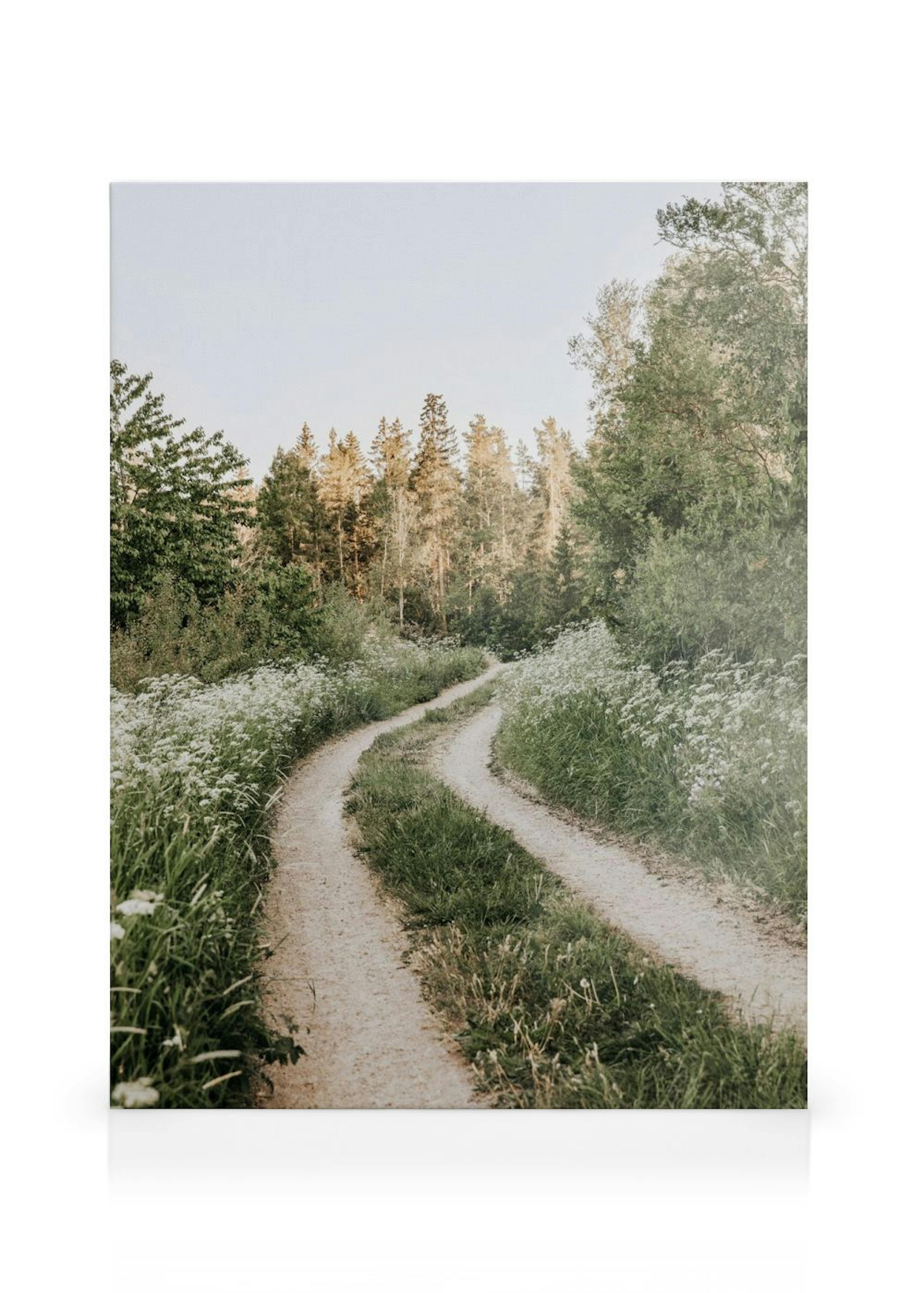 Morning Walk in Forest Toile thumbnail