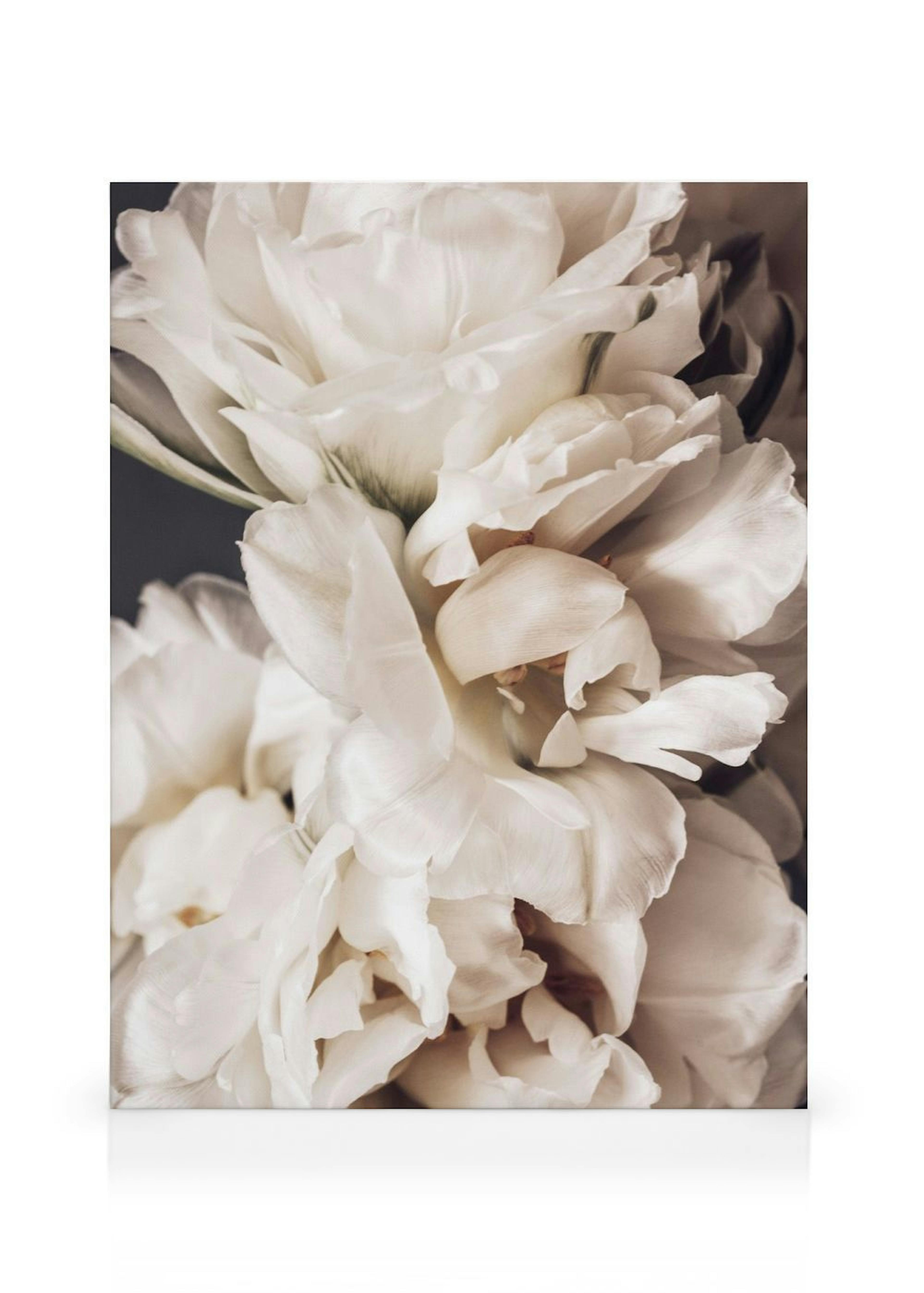 Peonies in Bloom Lienzo thumbnail