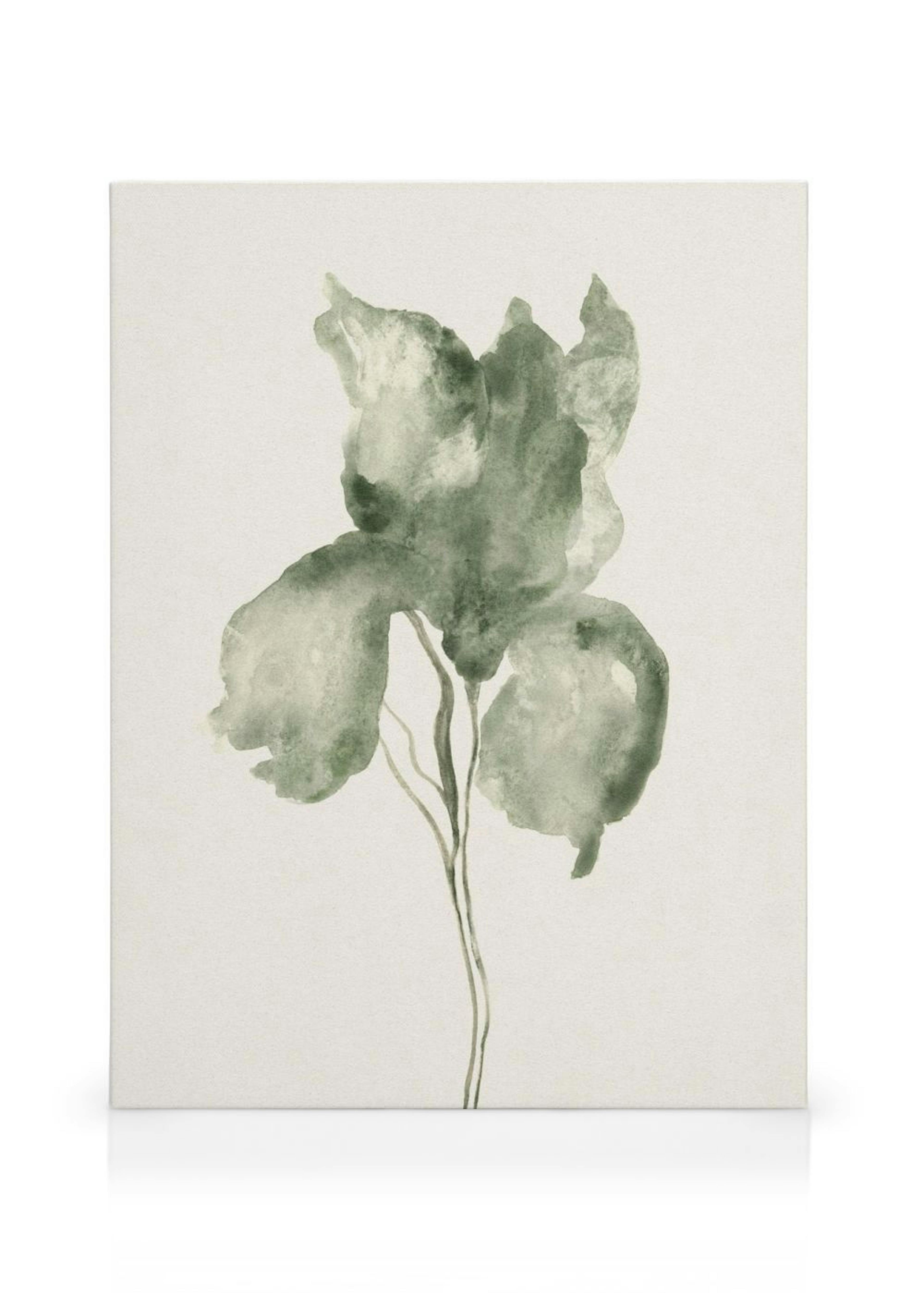 Watercolor Blossom Toile thumbnail
