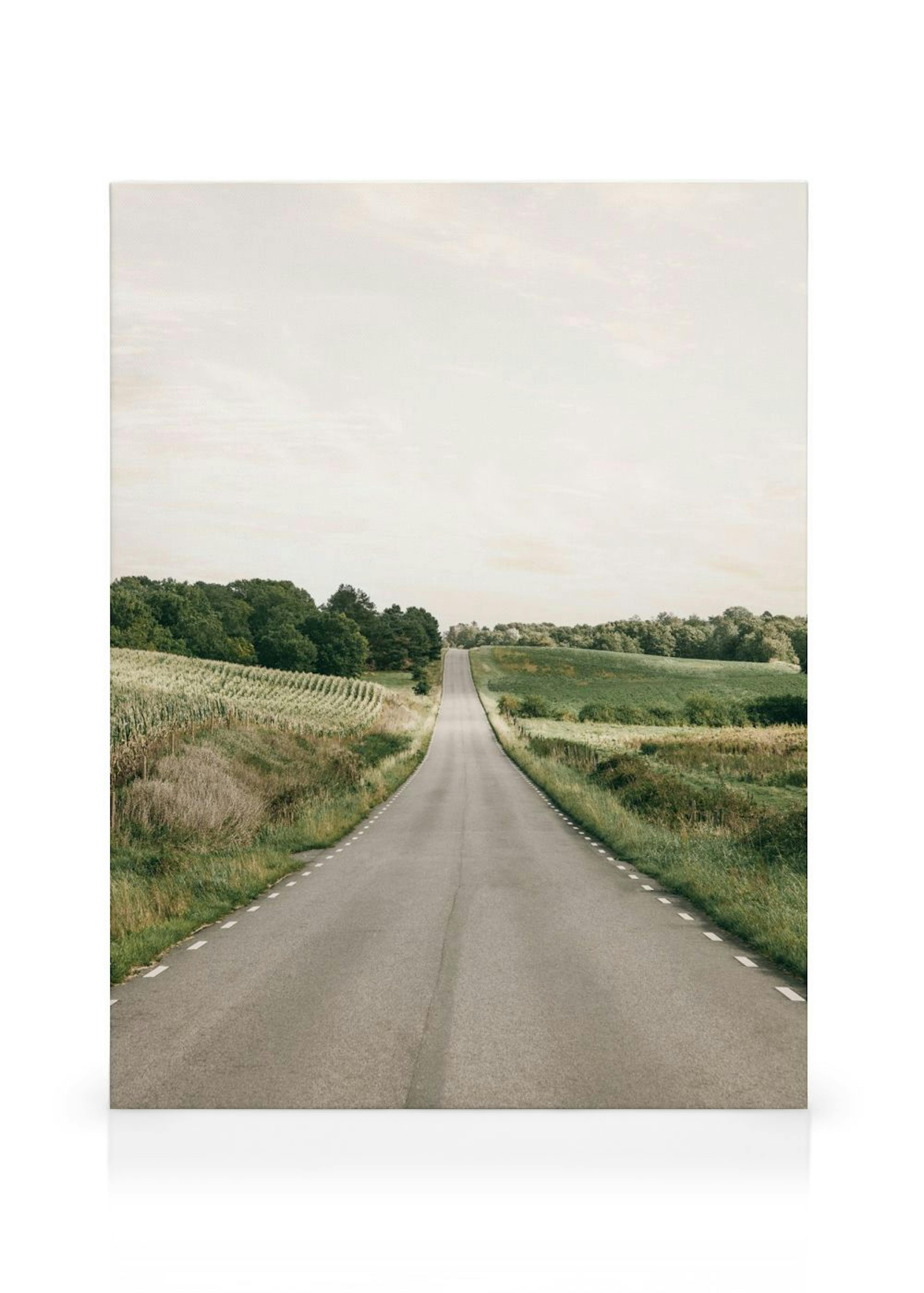 The Long Way Canvas print thumbnail
