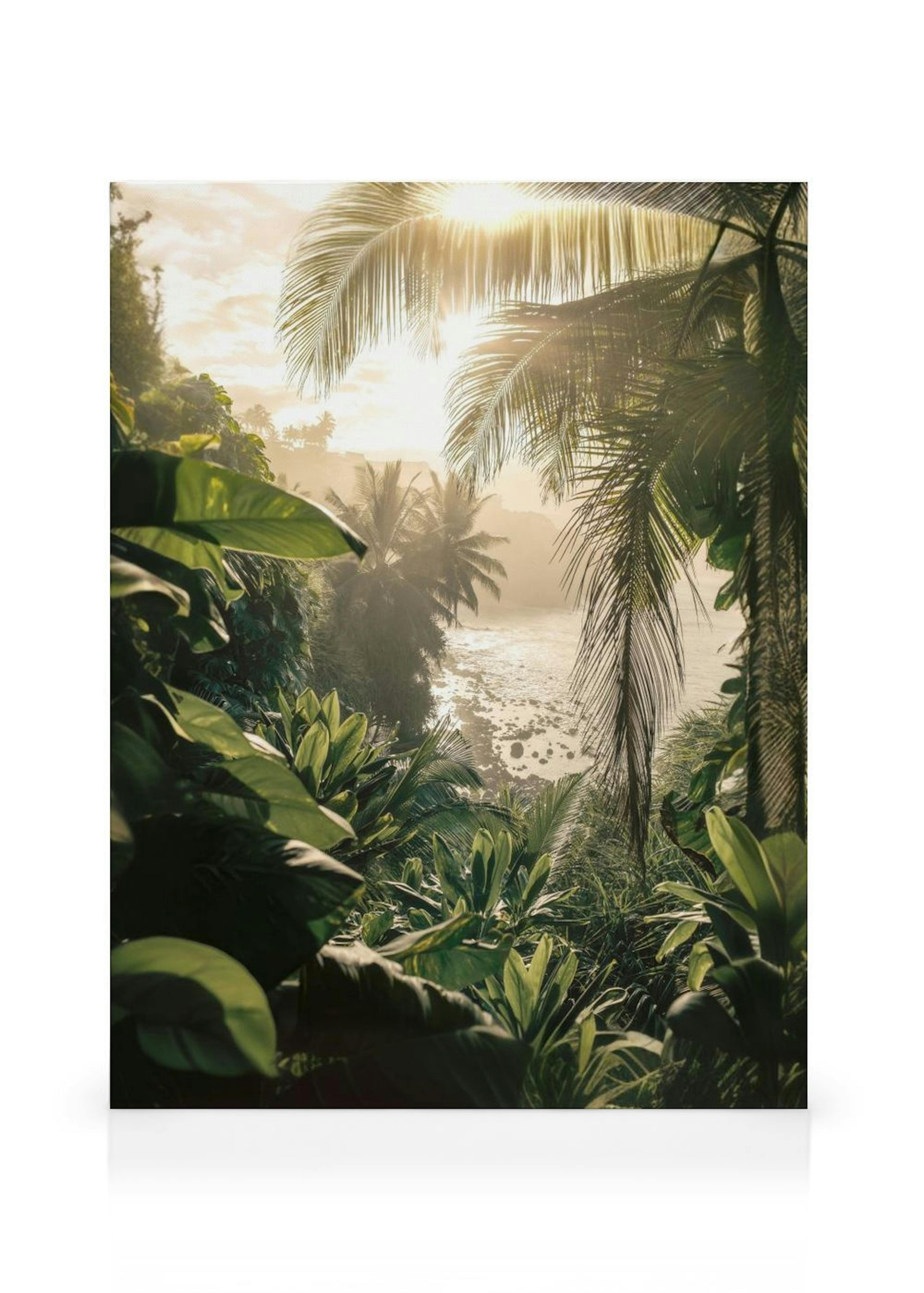 Jungle Light Canvas Print thumbnail
