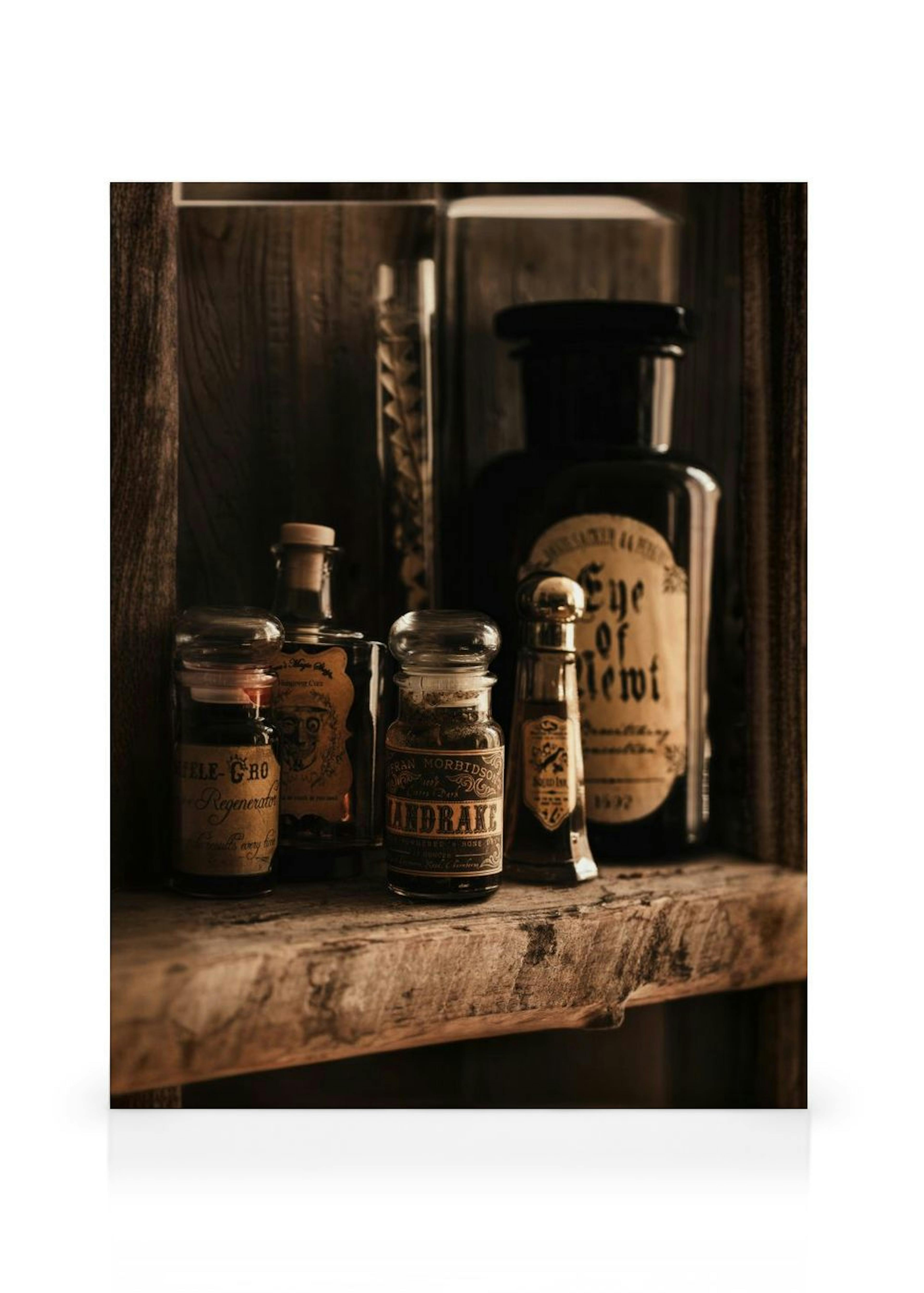 Witch Essentials Canvas Print thumbnail