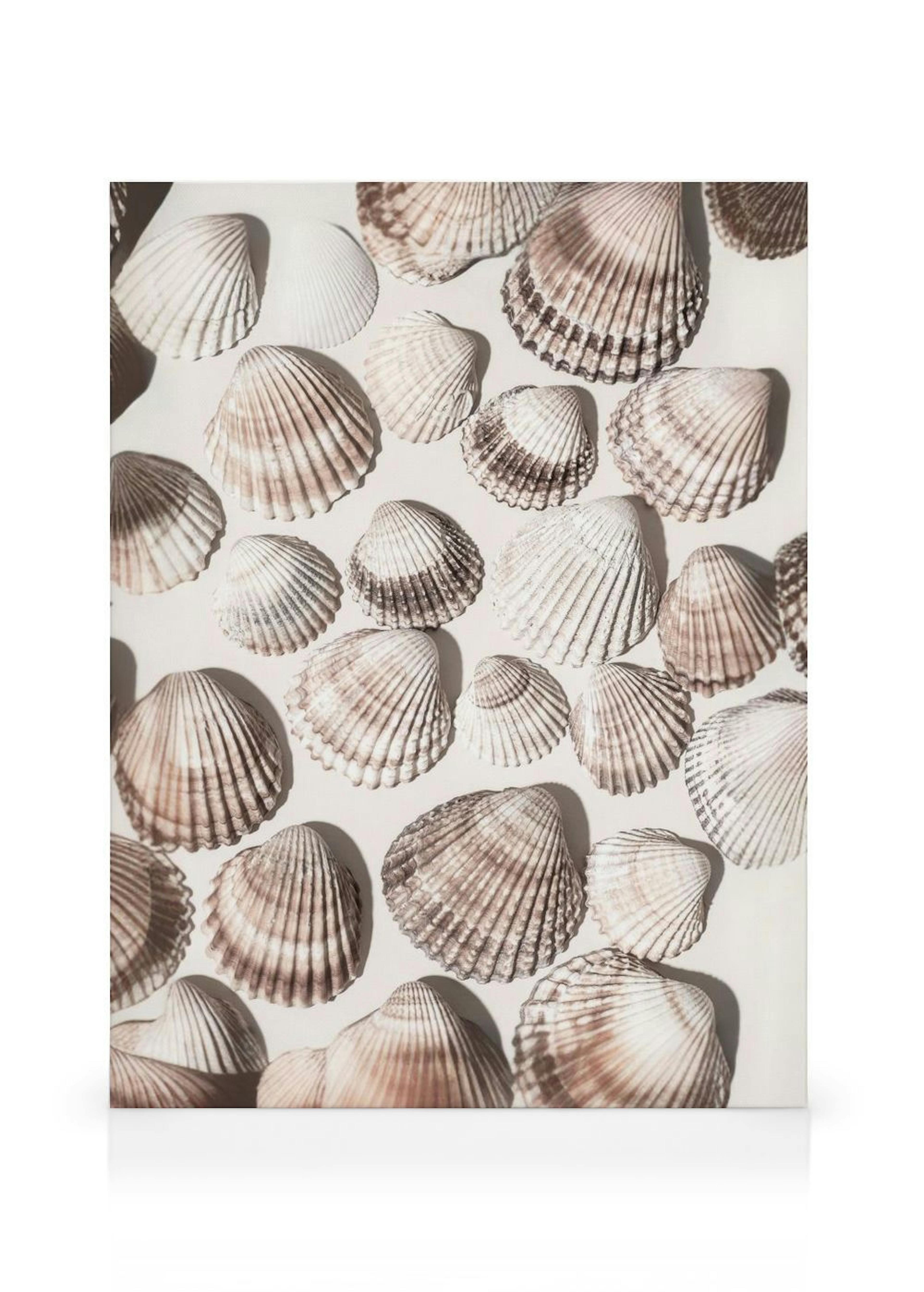 Sea Treasures Leinwand thumbnail