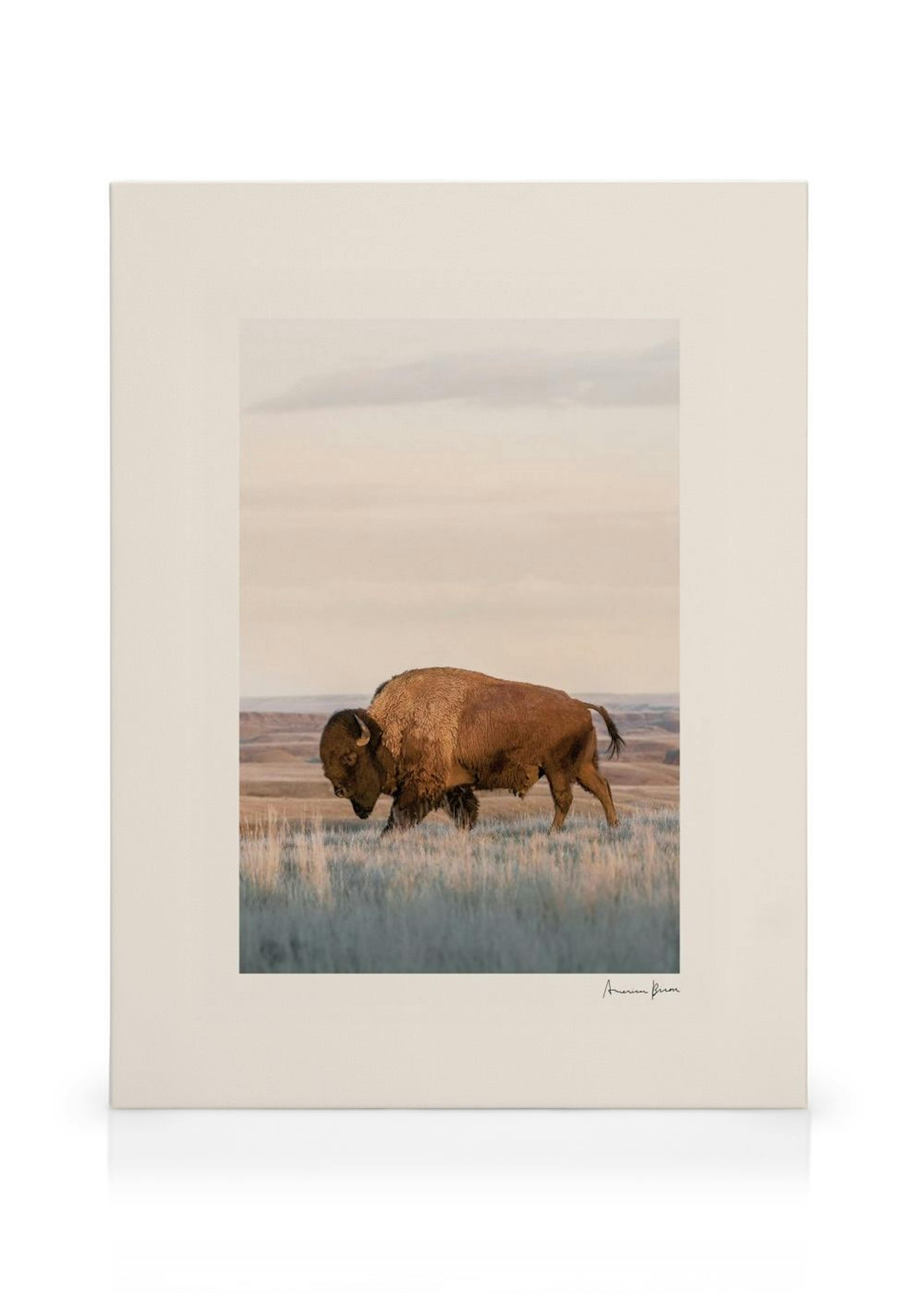 American Bison Toile thumbnail