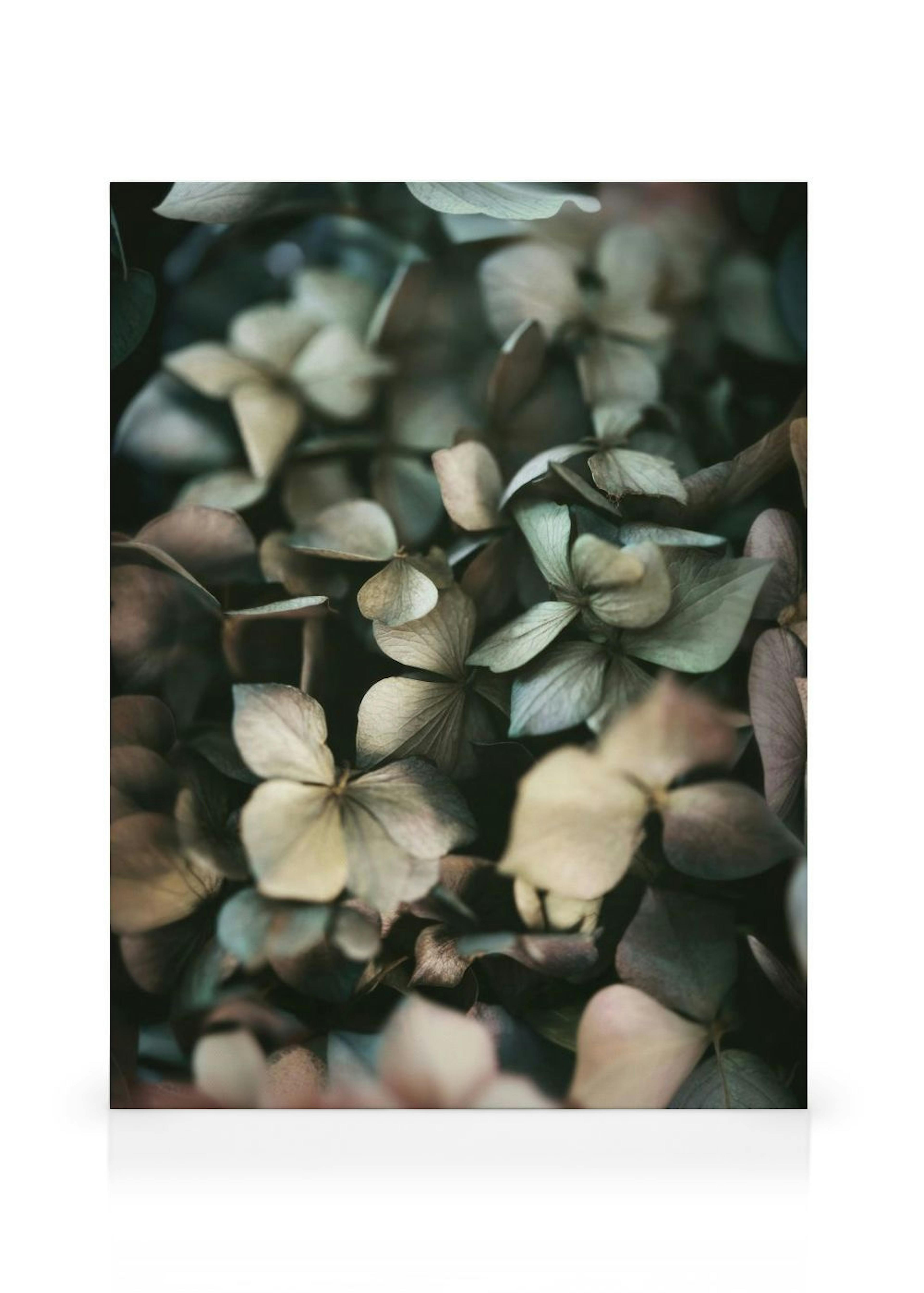 Groene Hortensia Canvas thumbnail