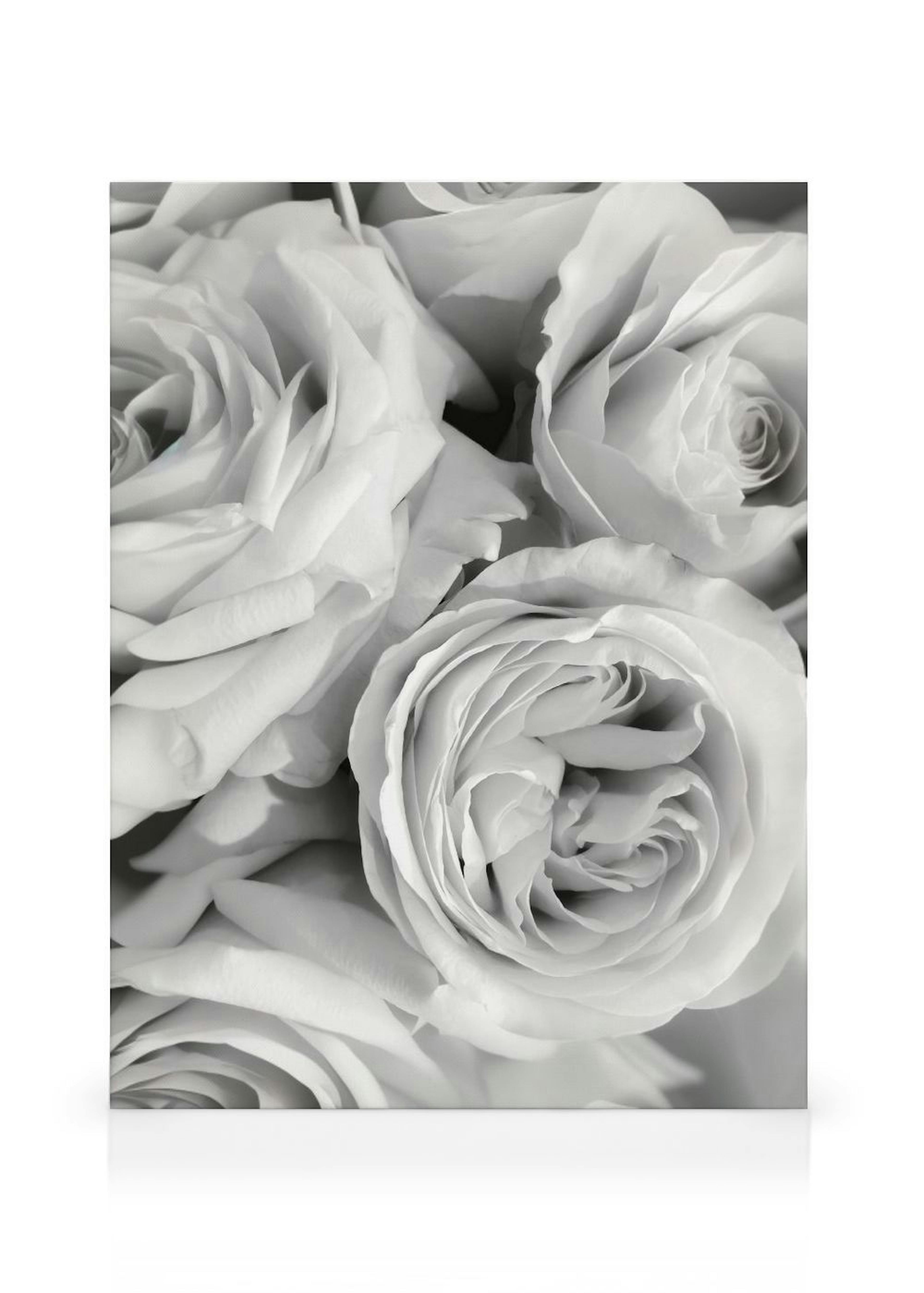 Monochrome Roses canvastavla thumbnail