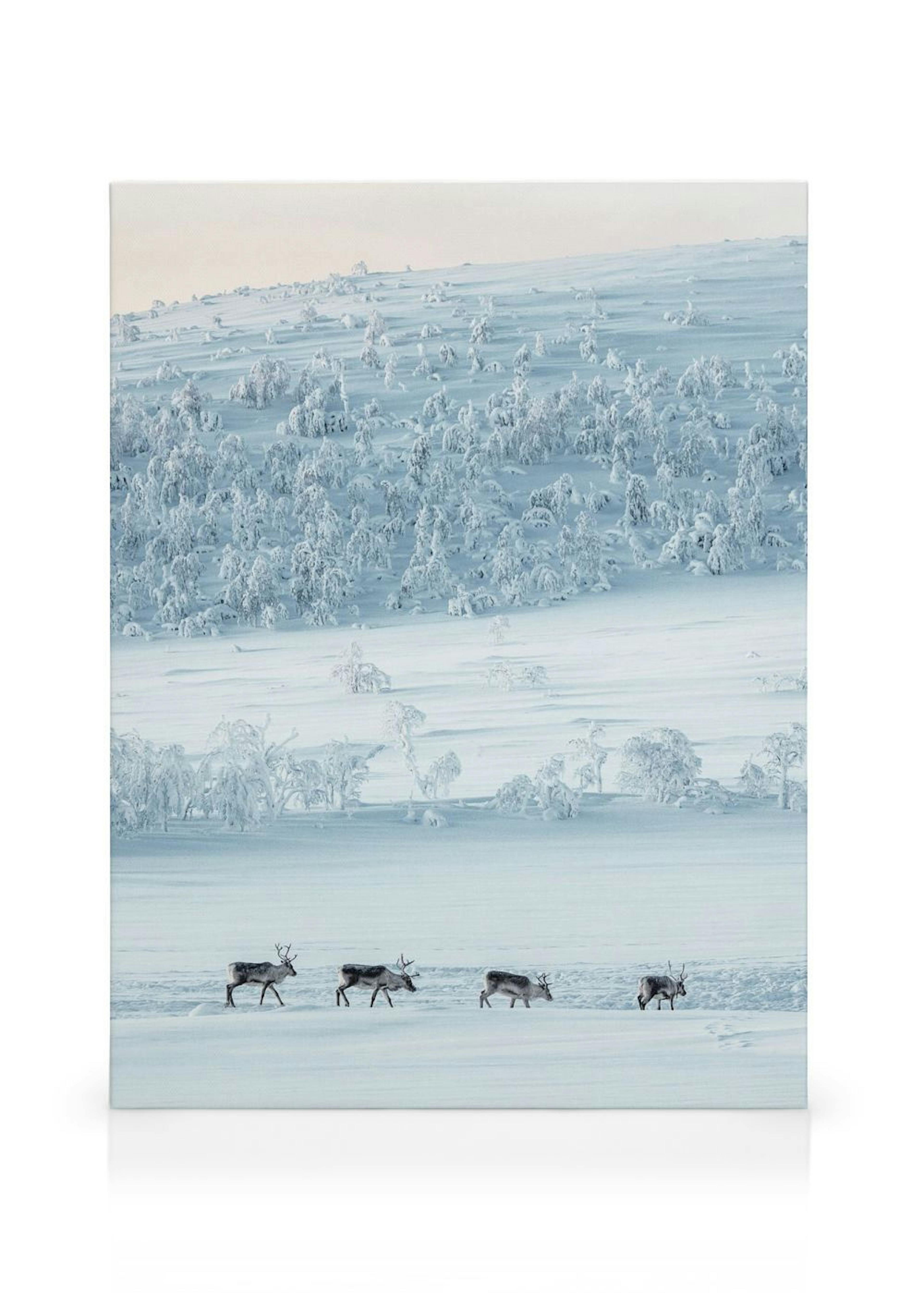 Snowscape Reindeers Toile thumbnail