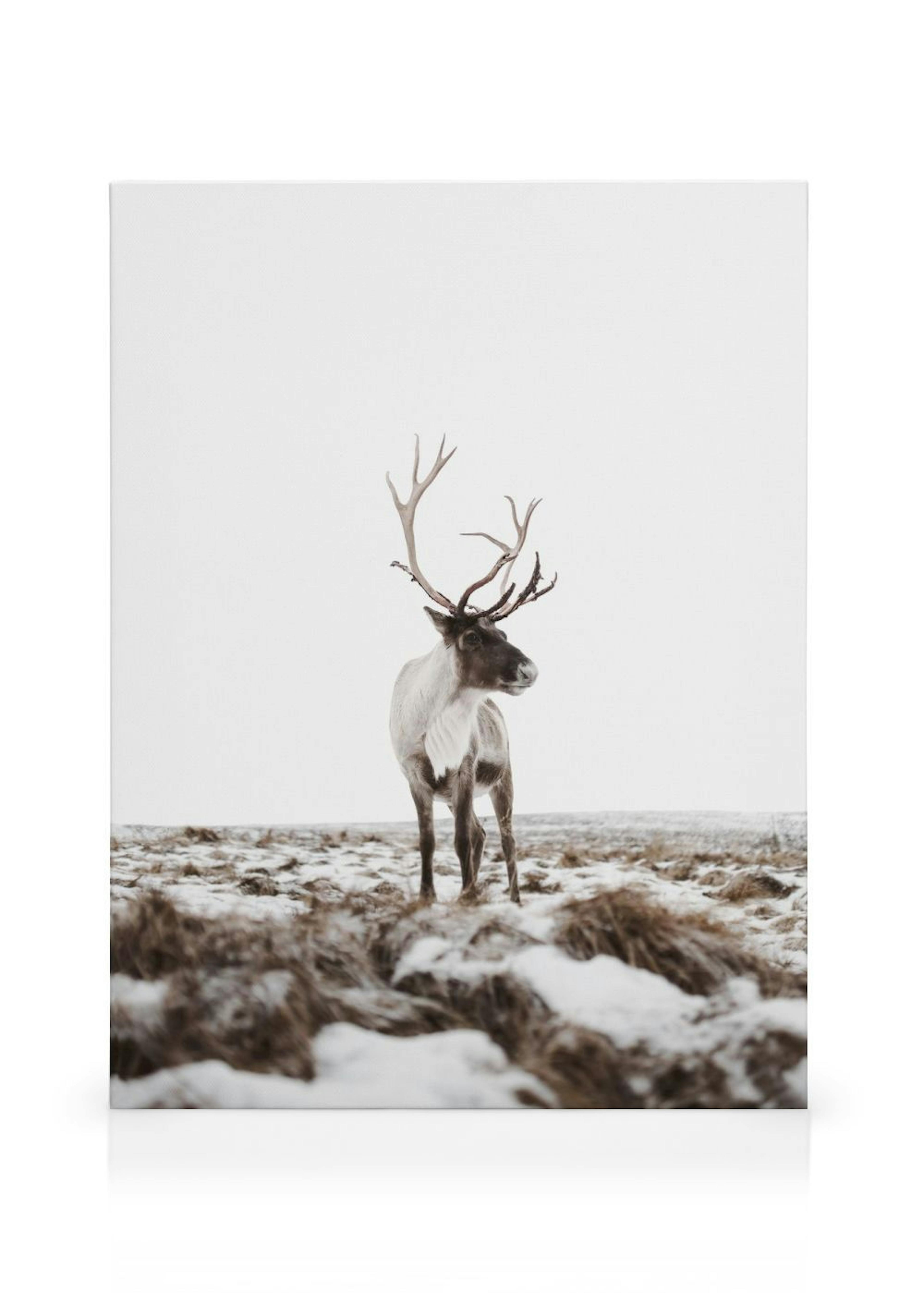 Reindeer Toile thumbnail