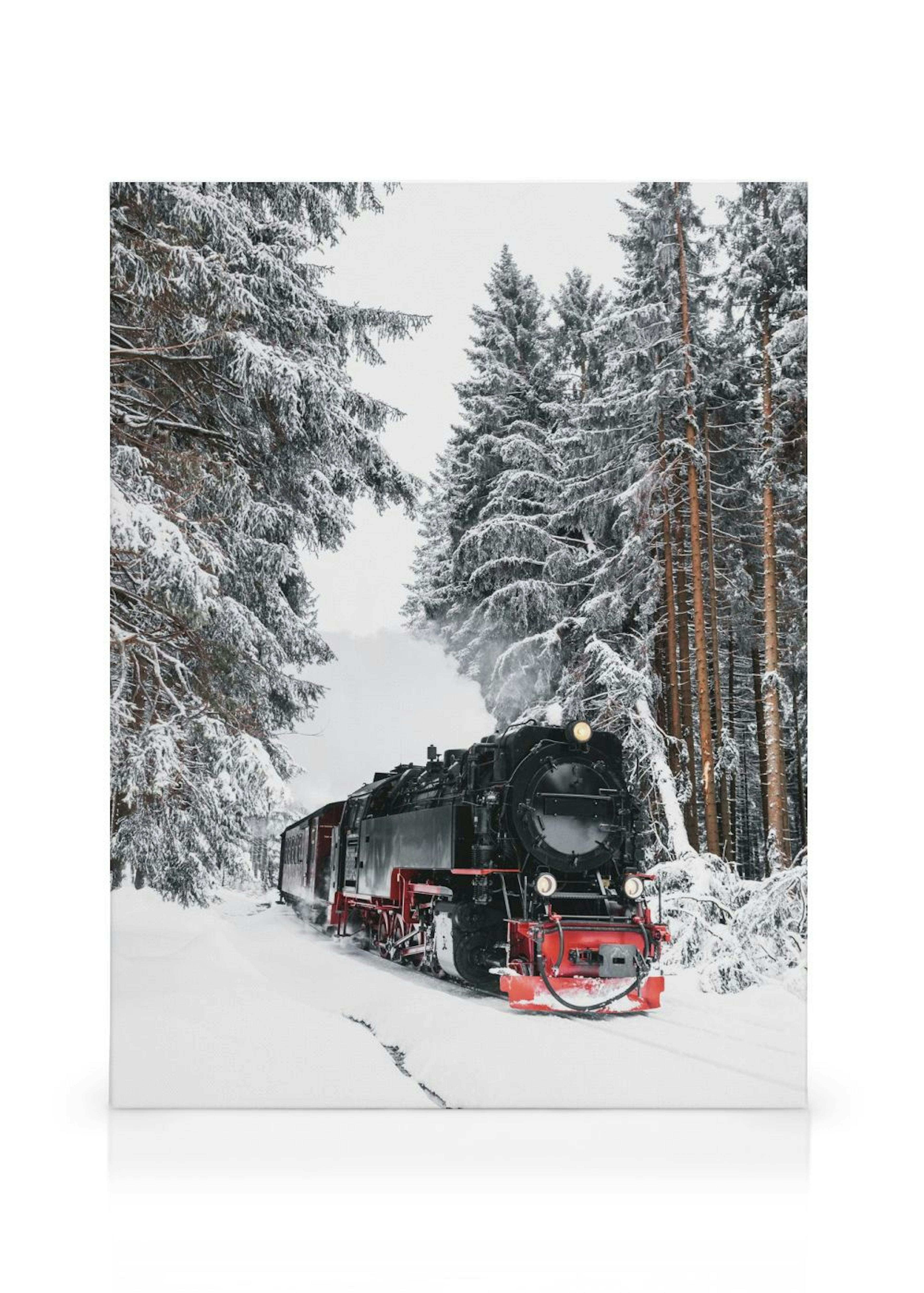Winter Train Canvas thumbnail