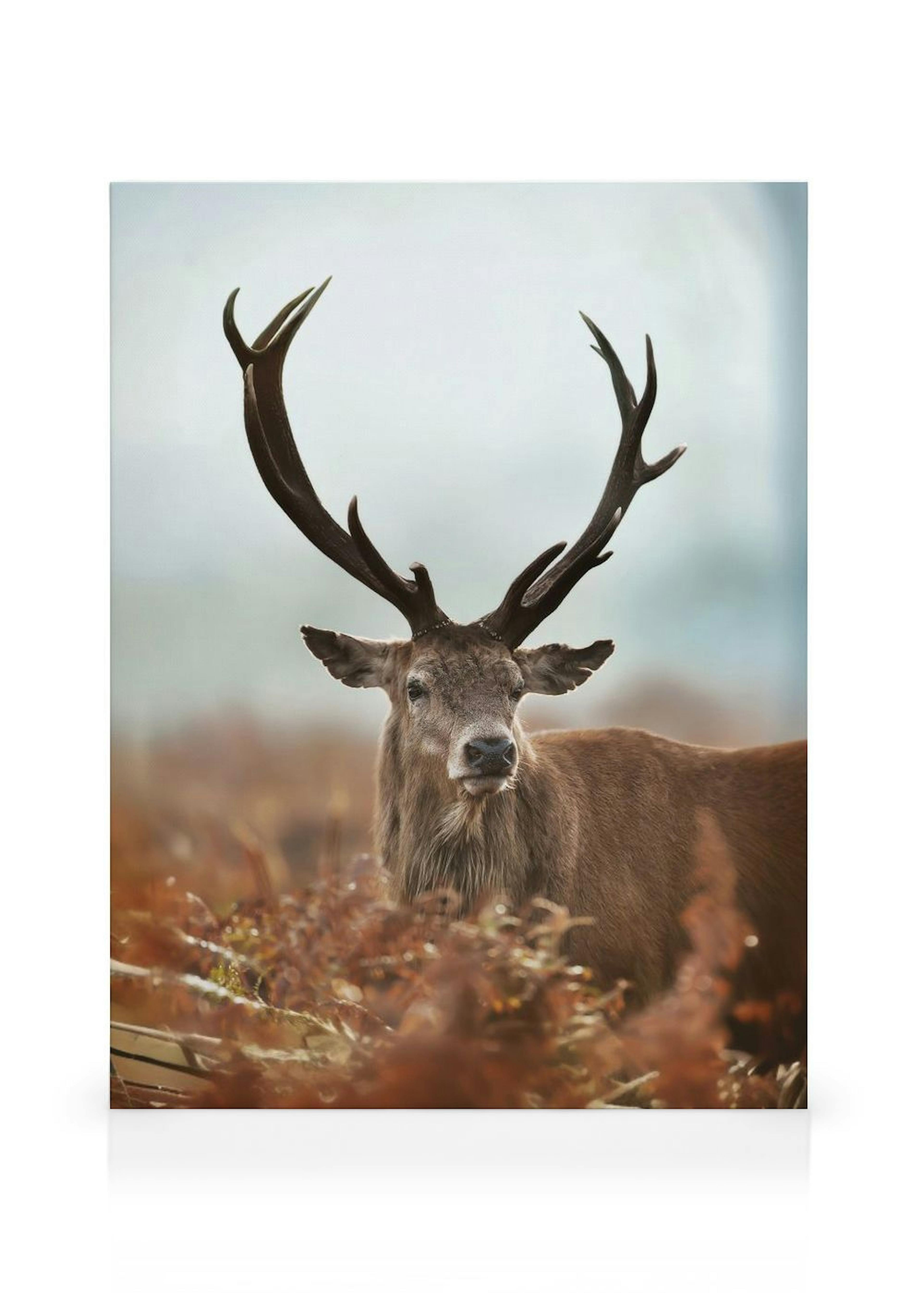 Forest Stag Toile thumbnail
