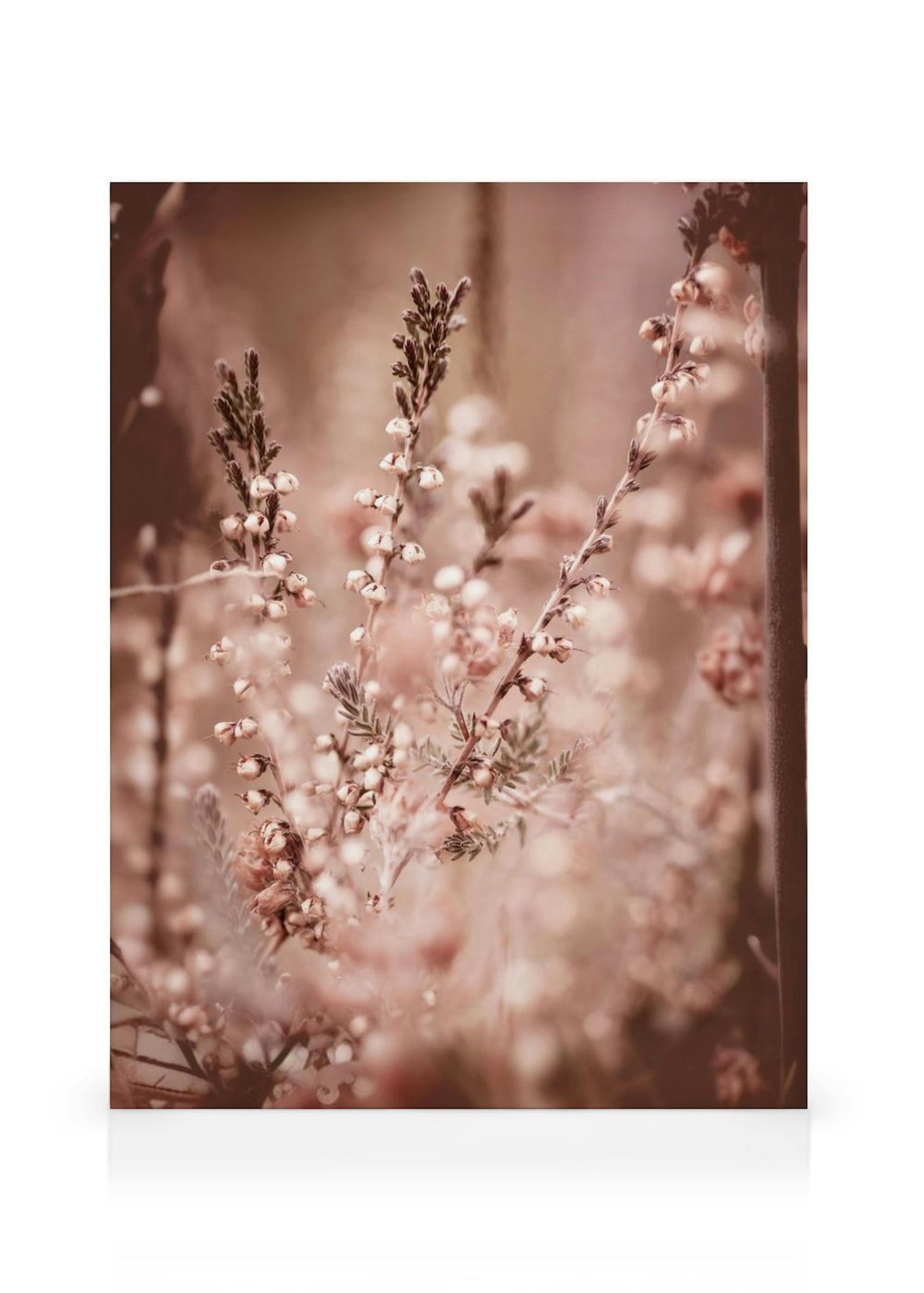 Toile Fleurs de Bruyère thumbnail