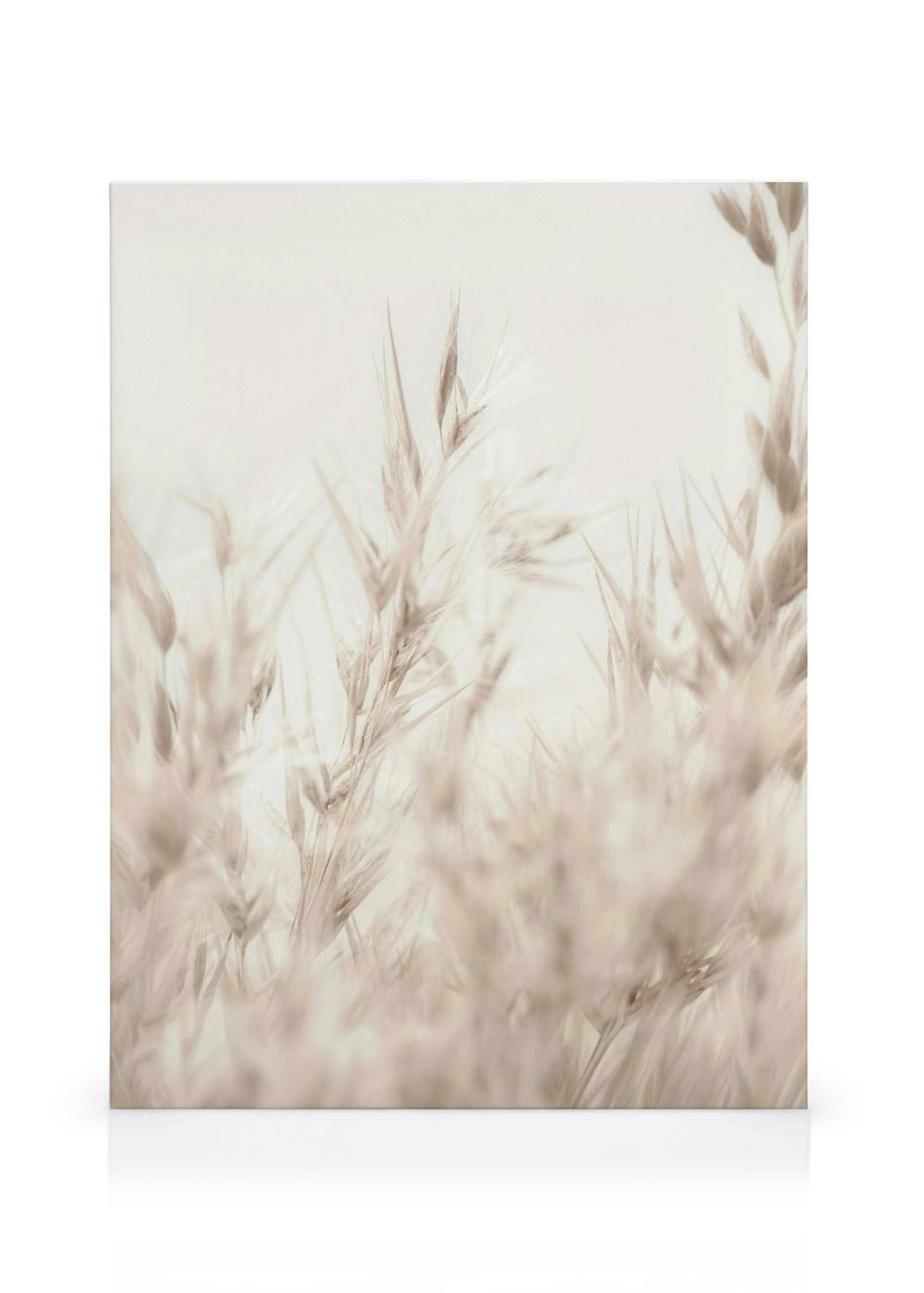 Beige Riet Canvas thumbnail