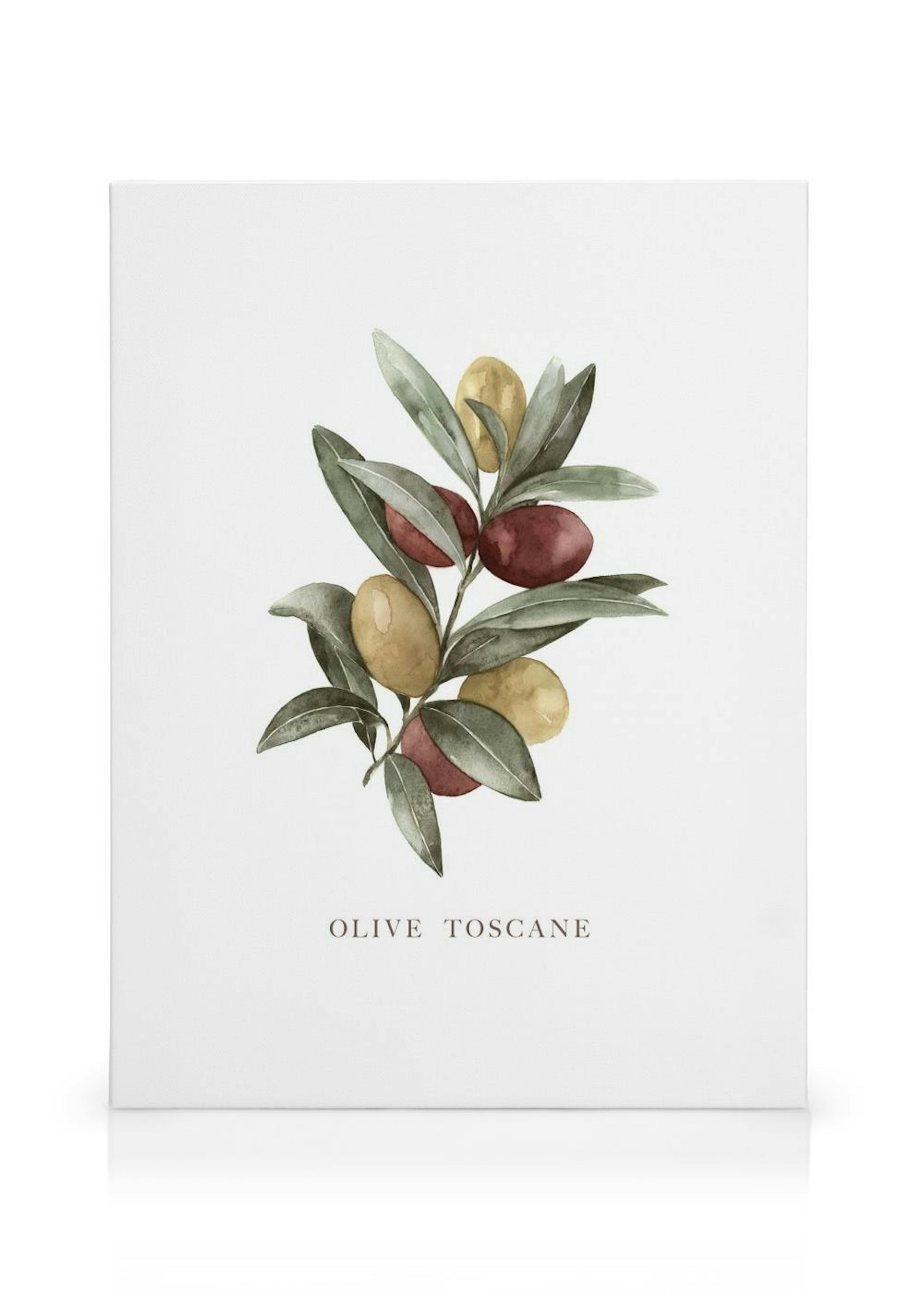 Olijf Toscane Canvas thumbnail