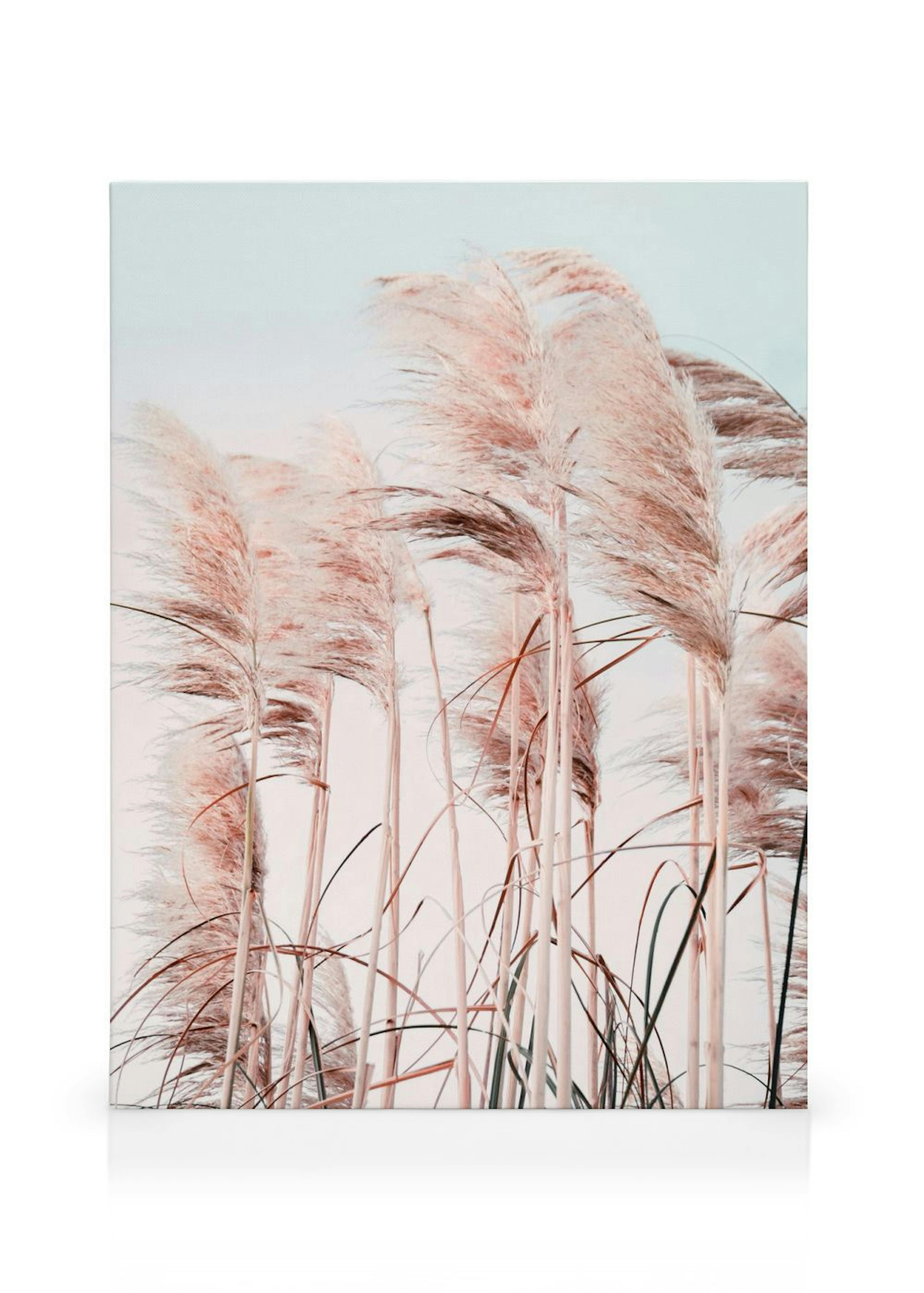 Pink Beach Grass Stampa su tela thumbnail