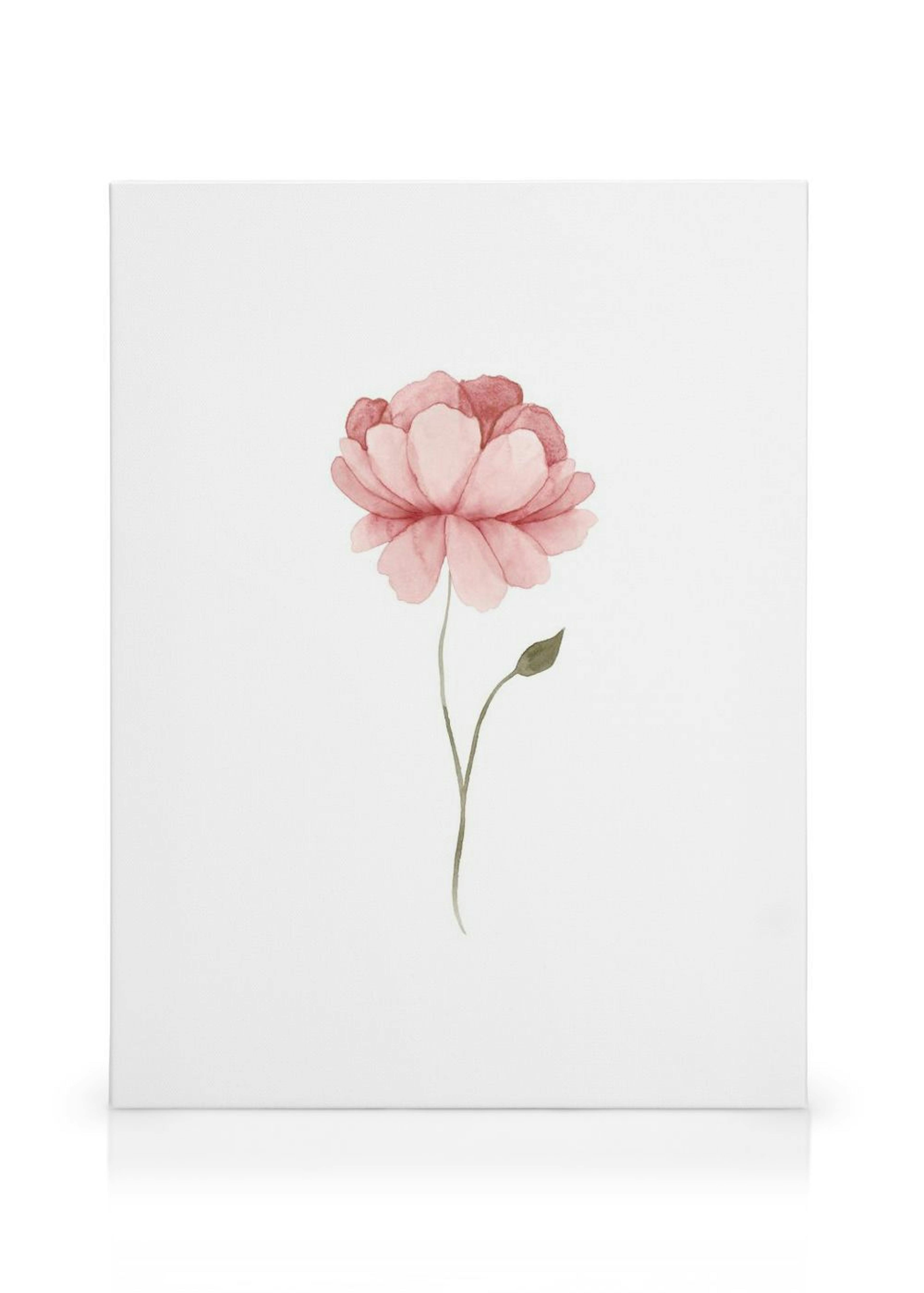 Watercolour Peony Leinwand thumbnail