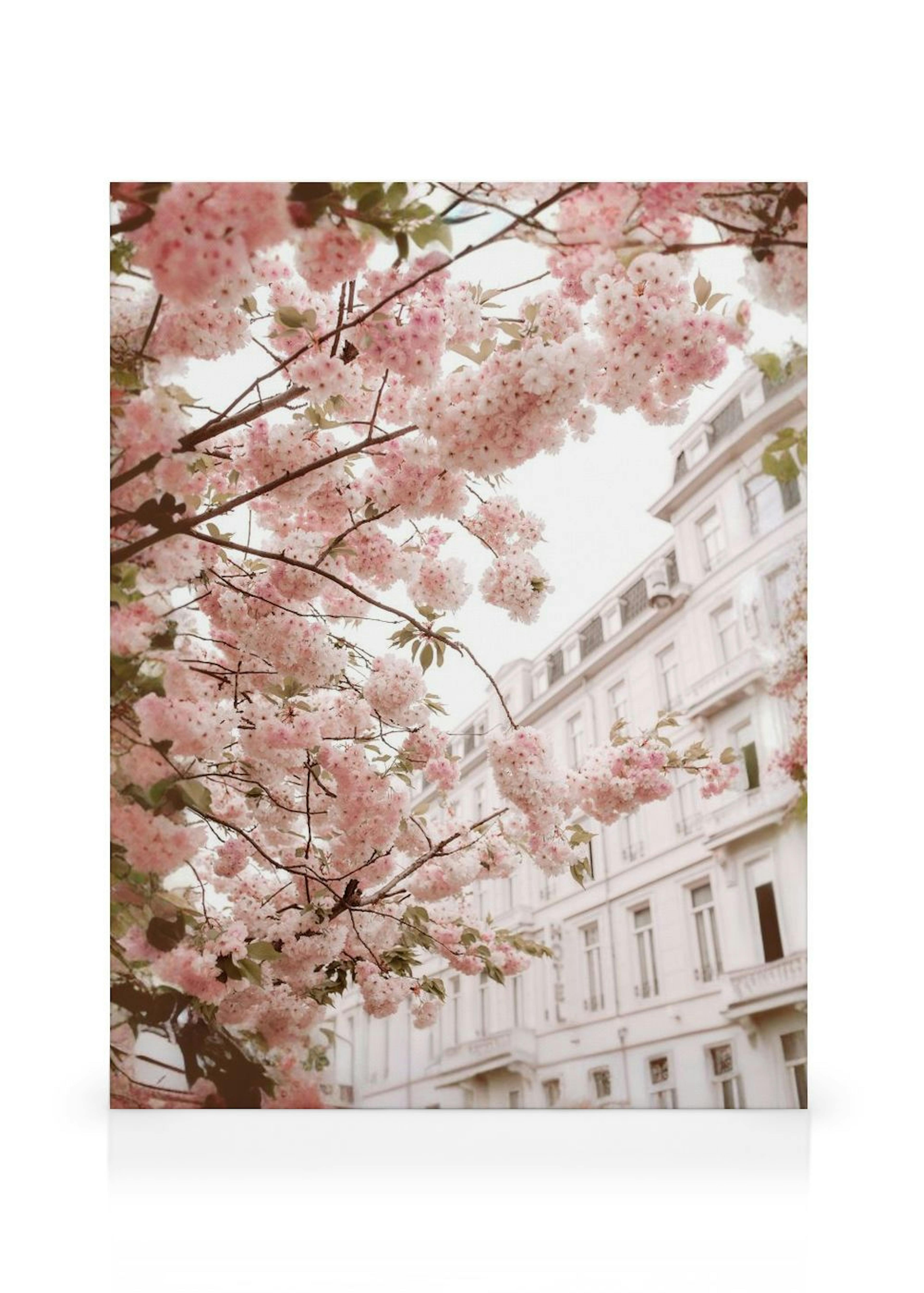 Cherry Branches Toile thumbnail