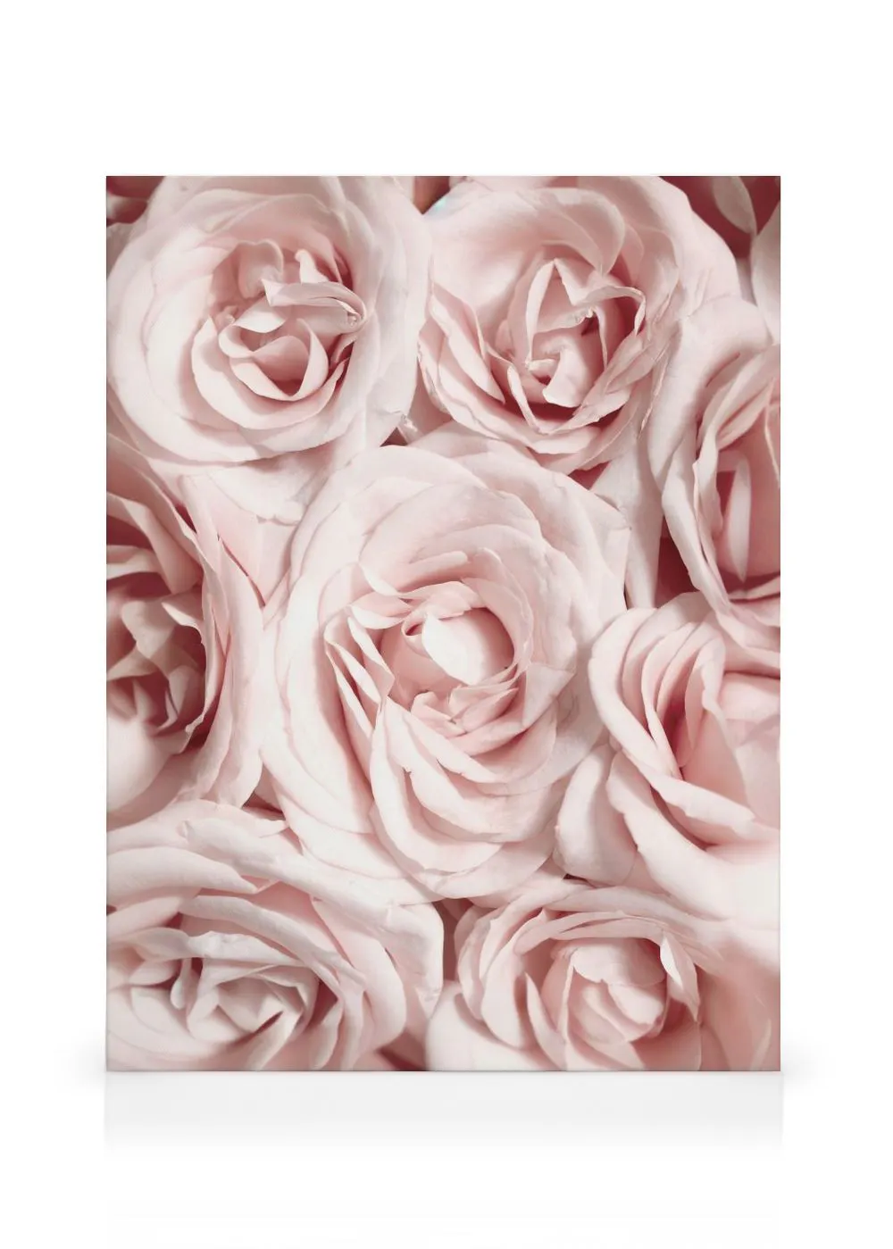 Quadro Vintage Les Roses 60x40 cm - Stampa Floreale su Tessuto TNT Quadro Vintage Les Roses 60x40 cm - Stampa Floreale su Tessuto TNT