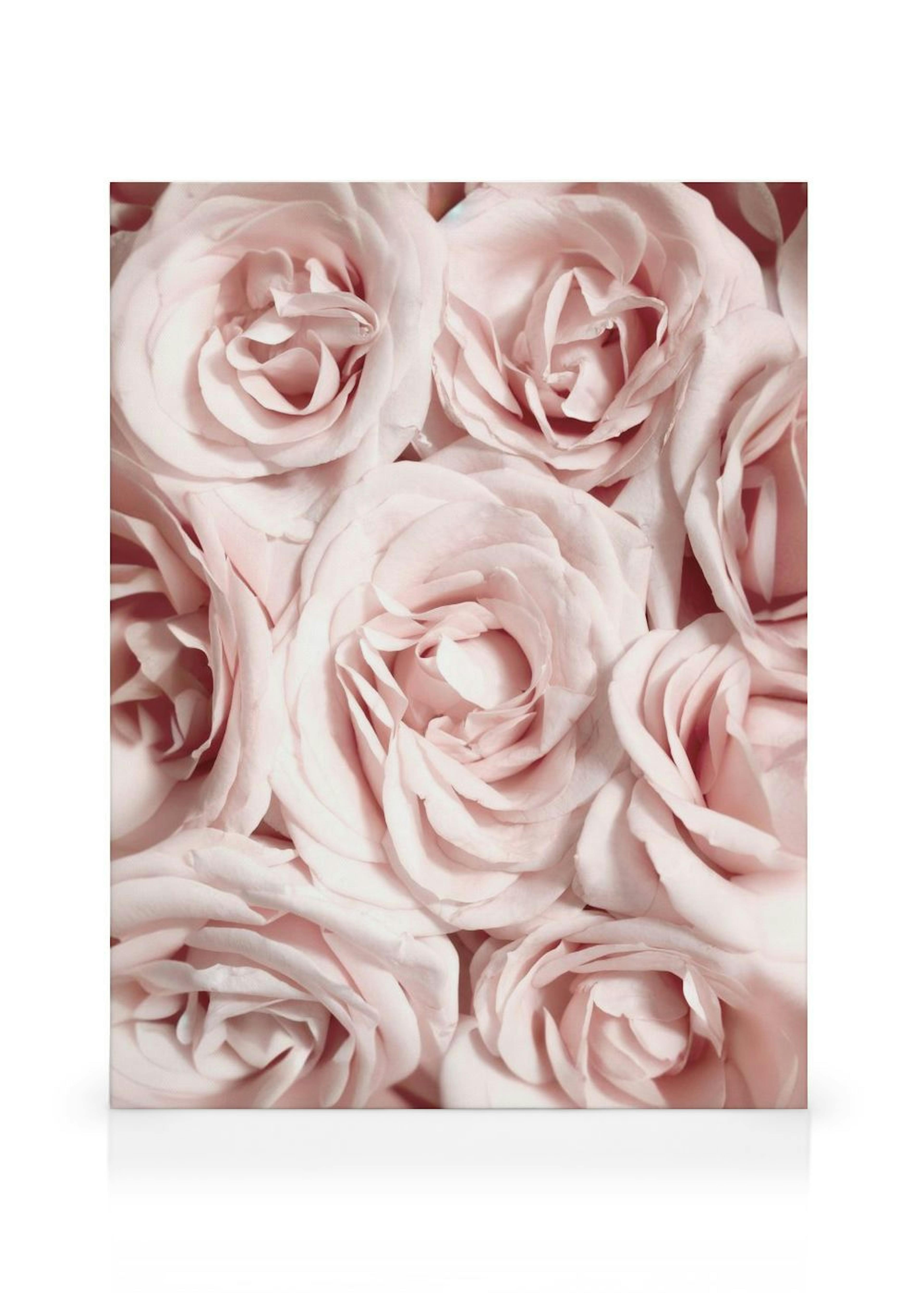 Wall of Roses Canvas Print thumbnail