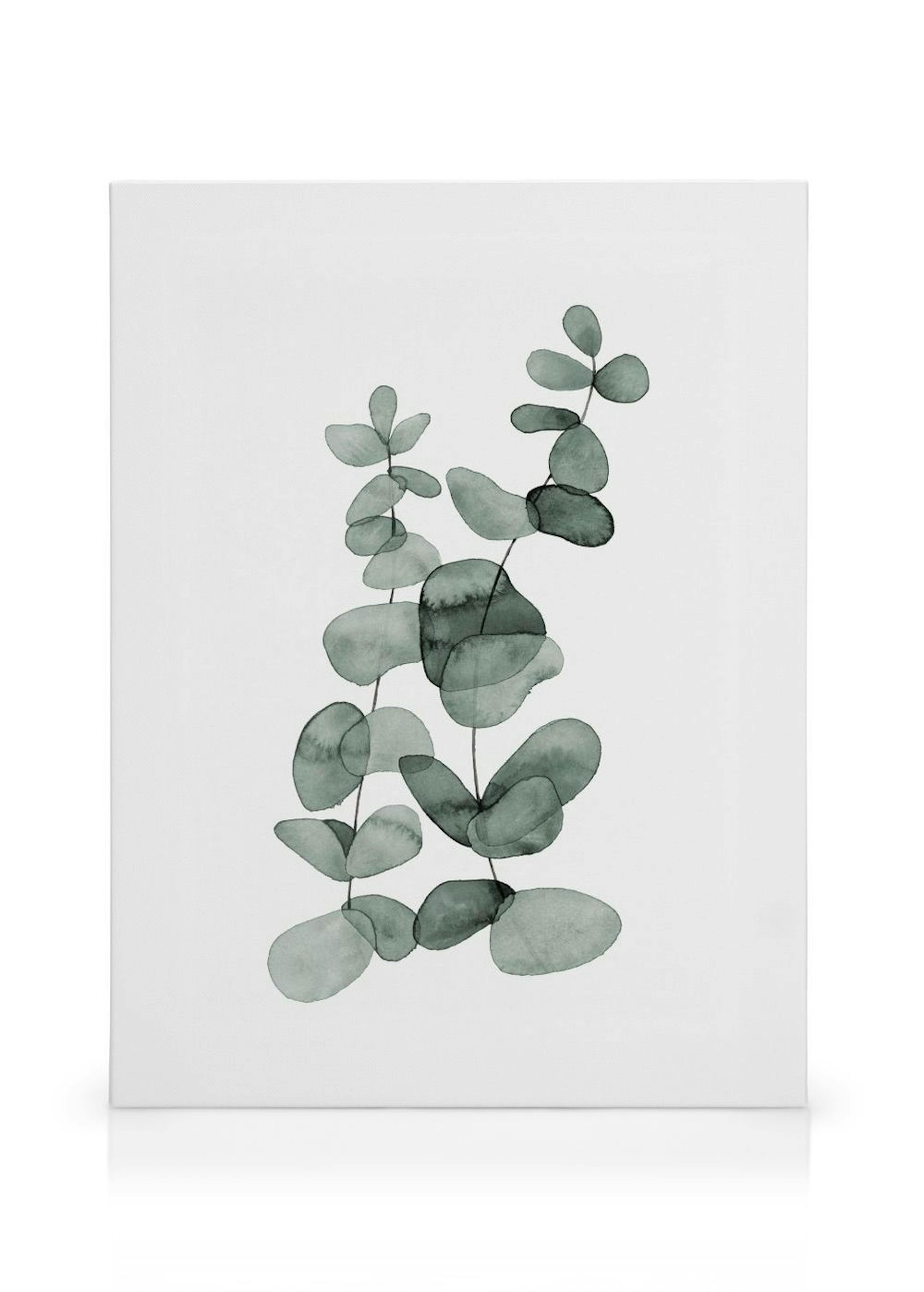 Eucalyptus No2 Toile thumbnail