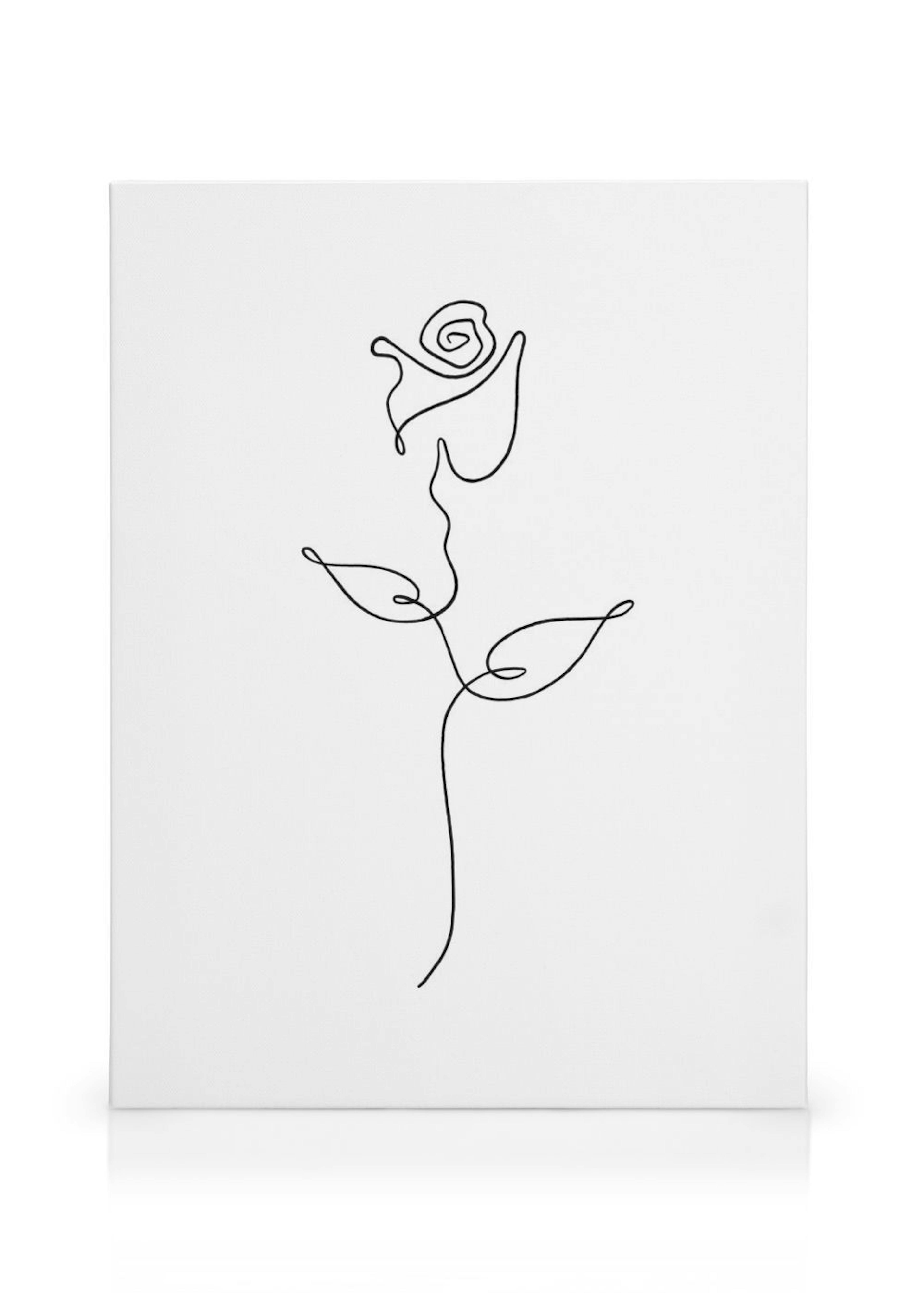 Rose Line Art Toile thumbnail