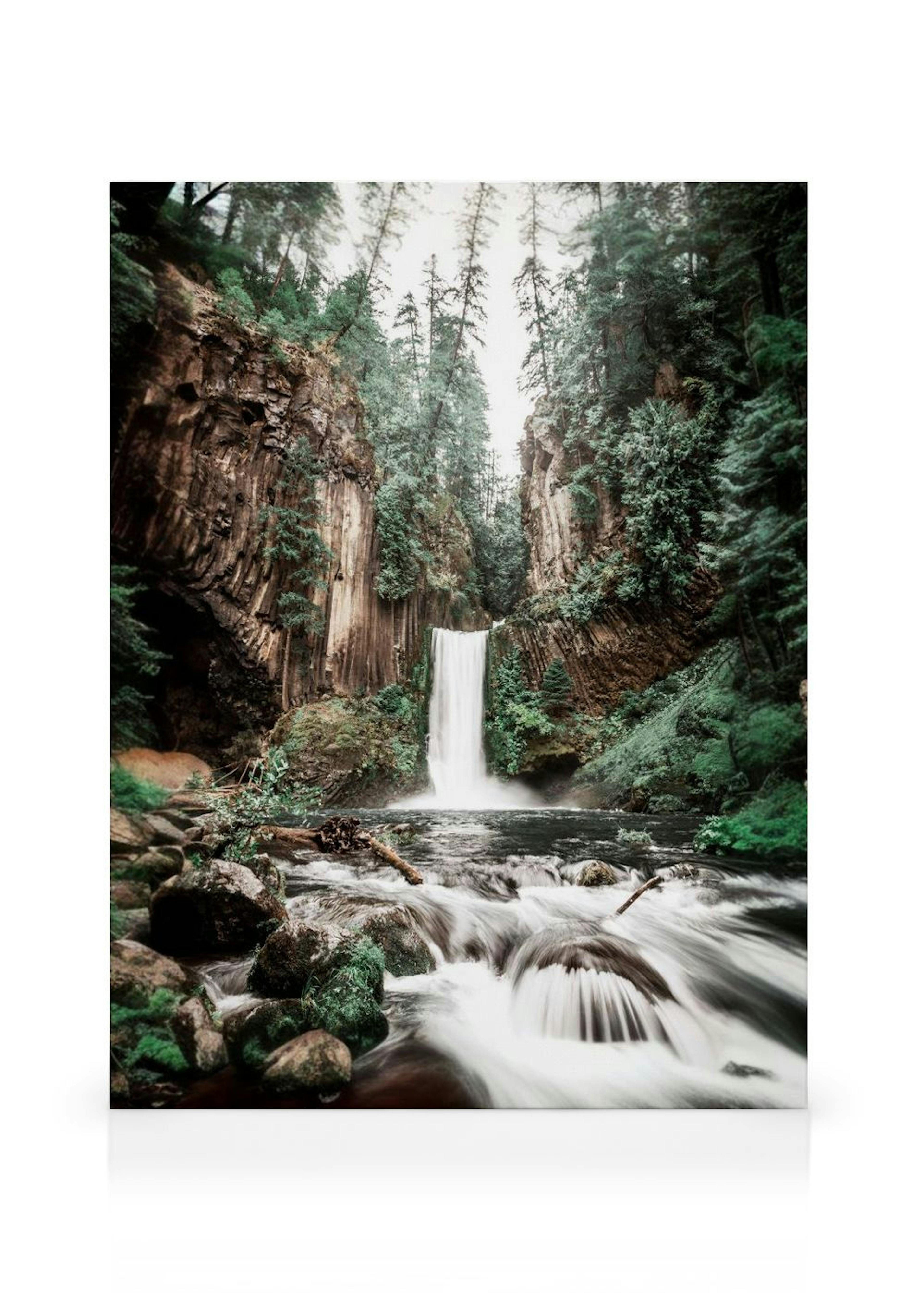 Forest Waterfall Stampa su Tela thumbnail
