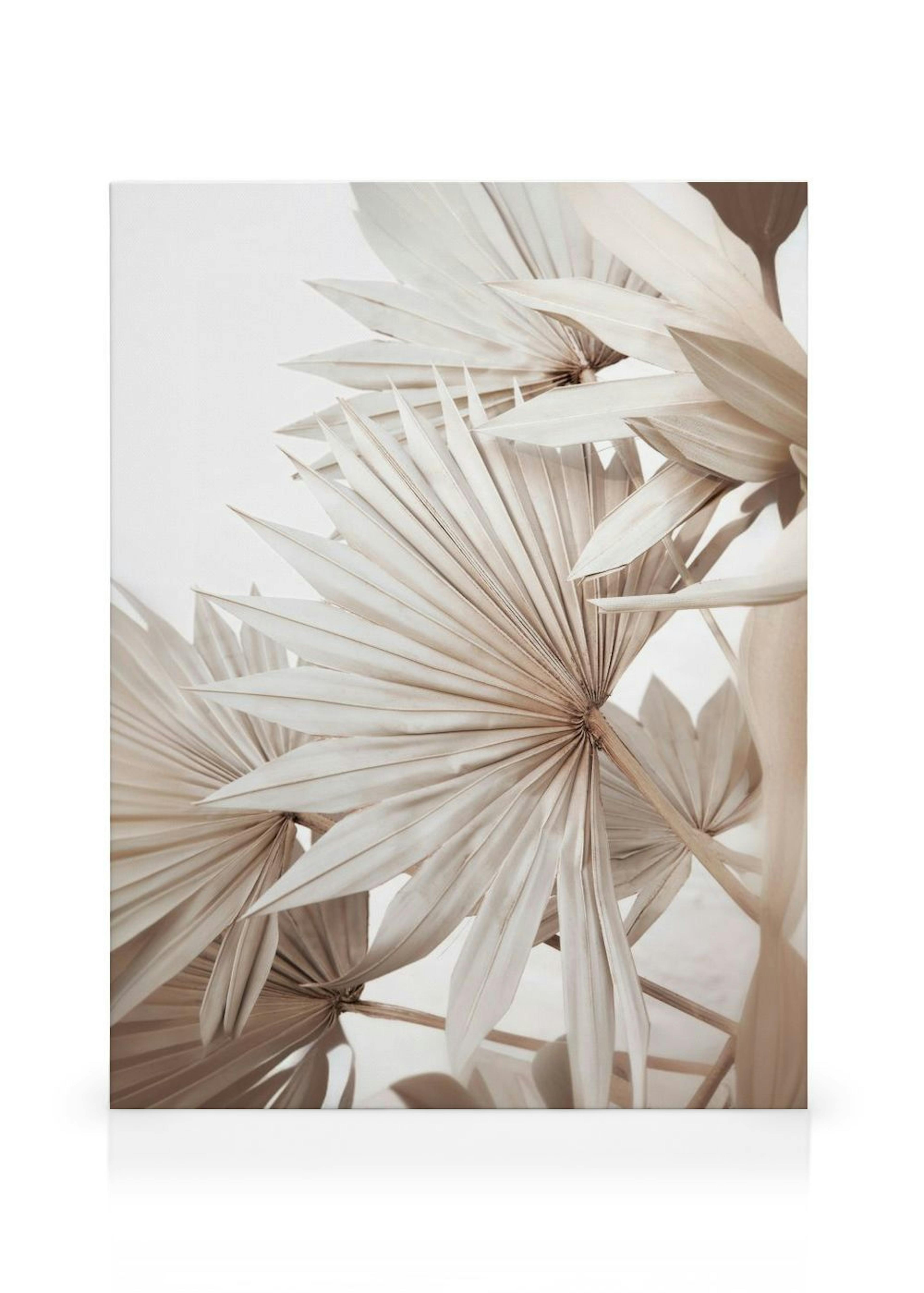Beige Palm No1 Canvas thumbnail